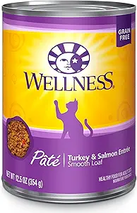 Wellness Complete Health Grain-Free Wet Canned Cat Food, Natural Ingredients, Made with Real Meat, All Breeds, Smooth Pate (Turkey & Salmon, 12.5-Ounce Can, Pack of 12)
