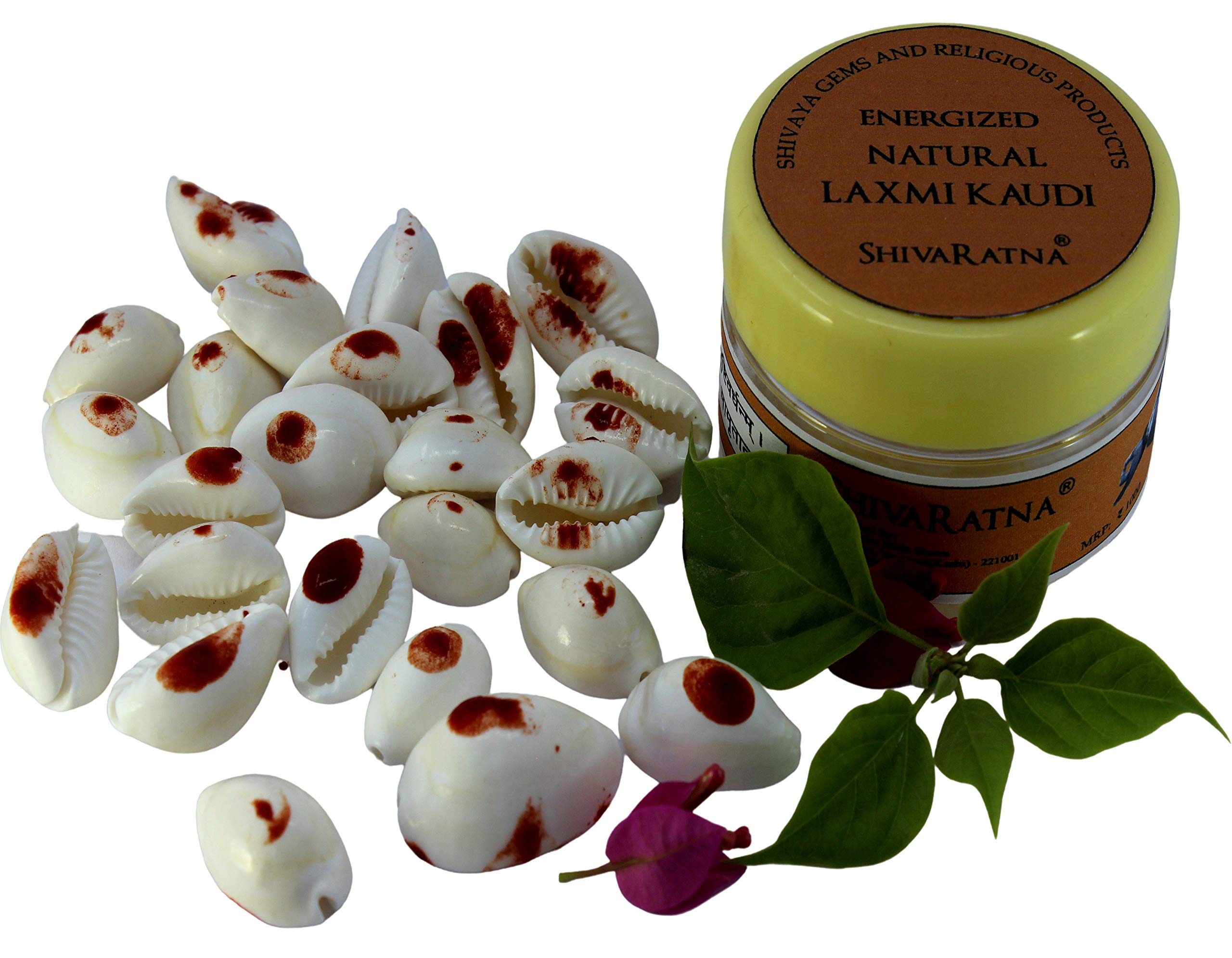 Energized Natural Laxmi Kaudi - 21 Pieces (for Wealth Attraction)