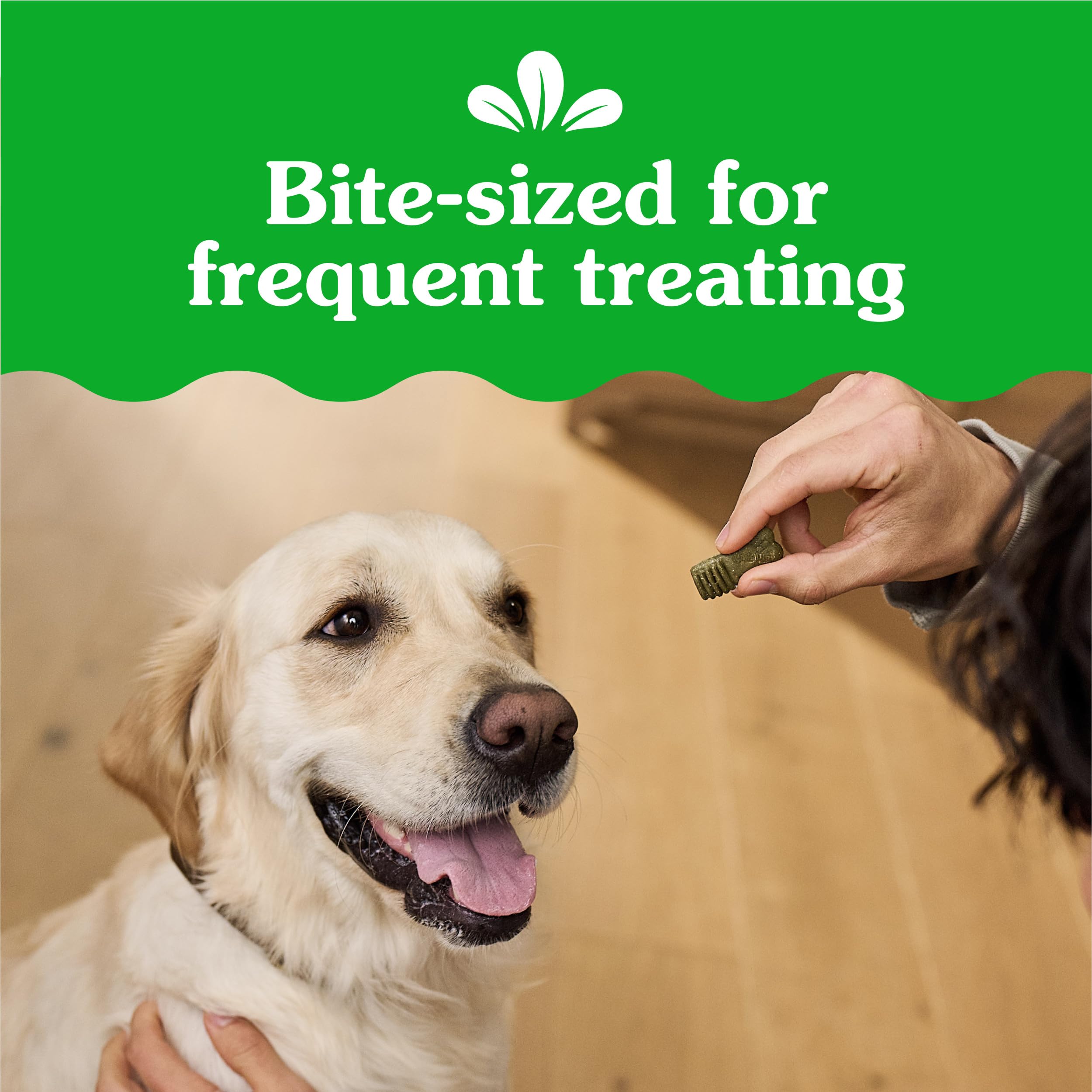 GREENIES Anytime Bites - Golosinas para Perros, Sabor a Menta, Bolsa de 24 onzas