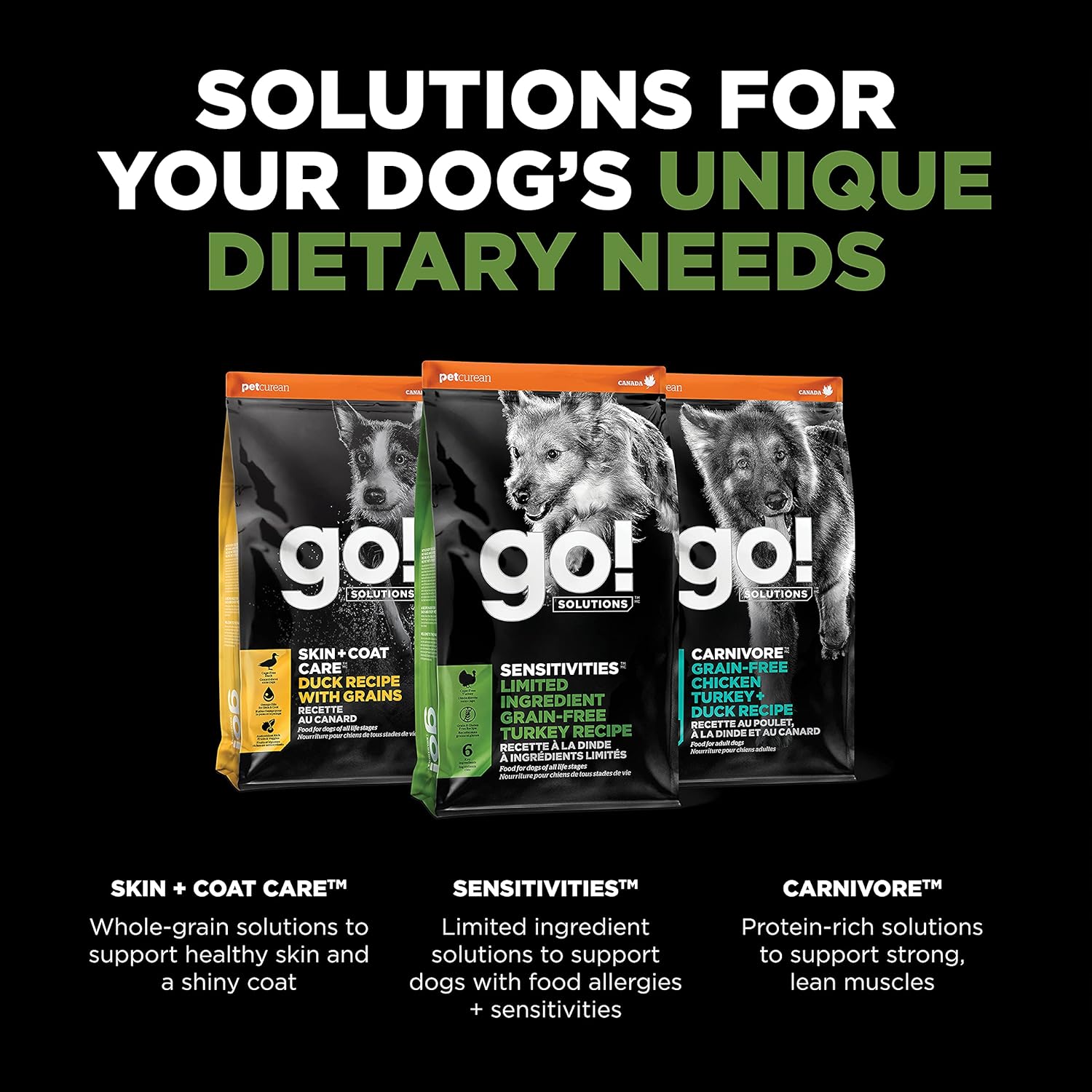Go! Solutions Sensitivities Limited Ingredient Turkey Grain-Free Dry Dog Food, Chicken-Free Kibble Made by Experts for Sensitive Stomachs & Food Allergies, for Puppies, Adults, & Seniors, 12 lb Bag