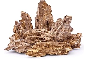 Ohko Dragon Stone: Transforming Your Aquarium into a Natural Haven