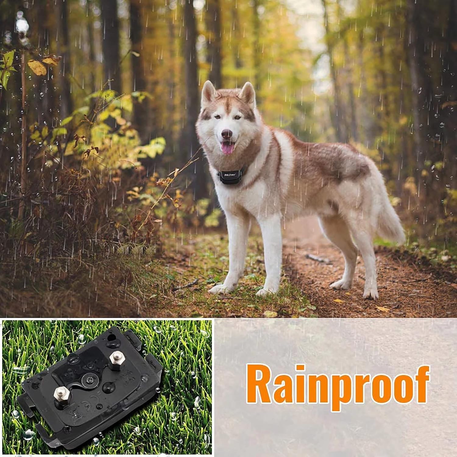 Petrainer Dog Training Collar with Remote - Bark Collar, Beep Vibration, Static Electric, 1000FT Range