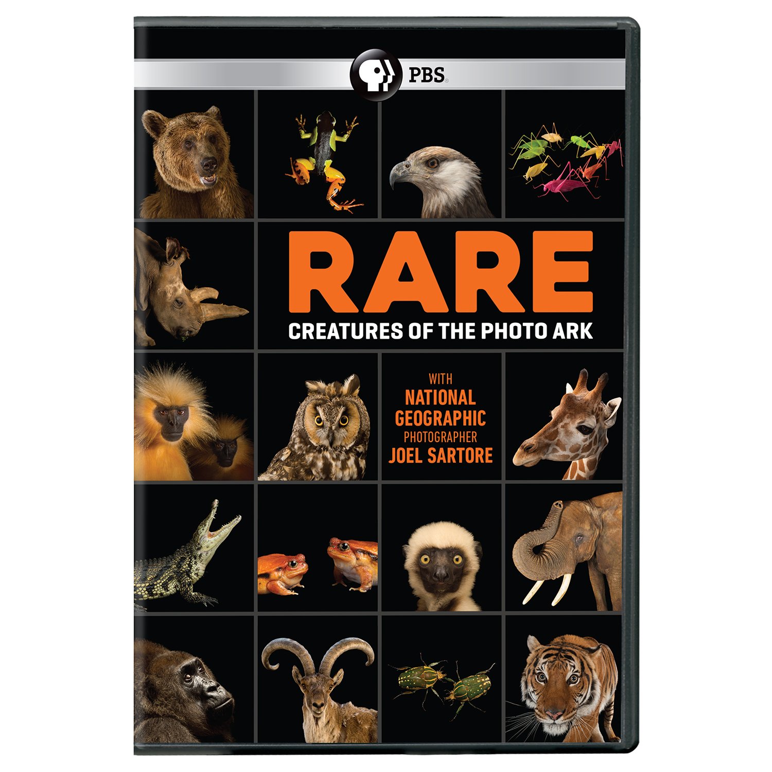 Rare: Creatures of the Photo Ark DVD