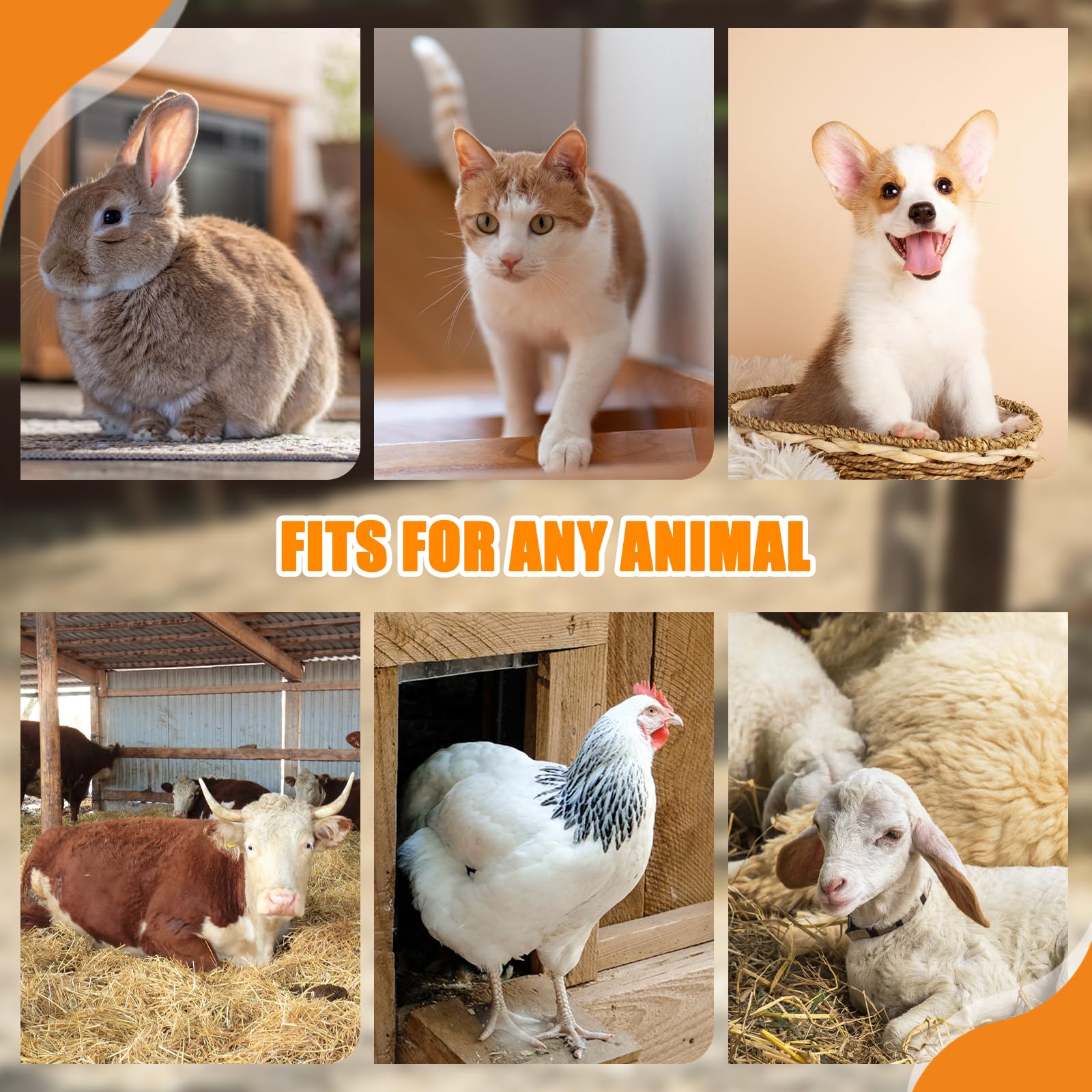 https://m.media-amazon.com/images/I/817TgA8b8RL.jpg