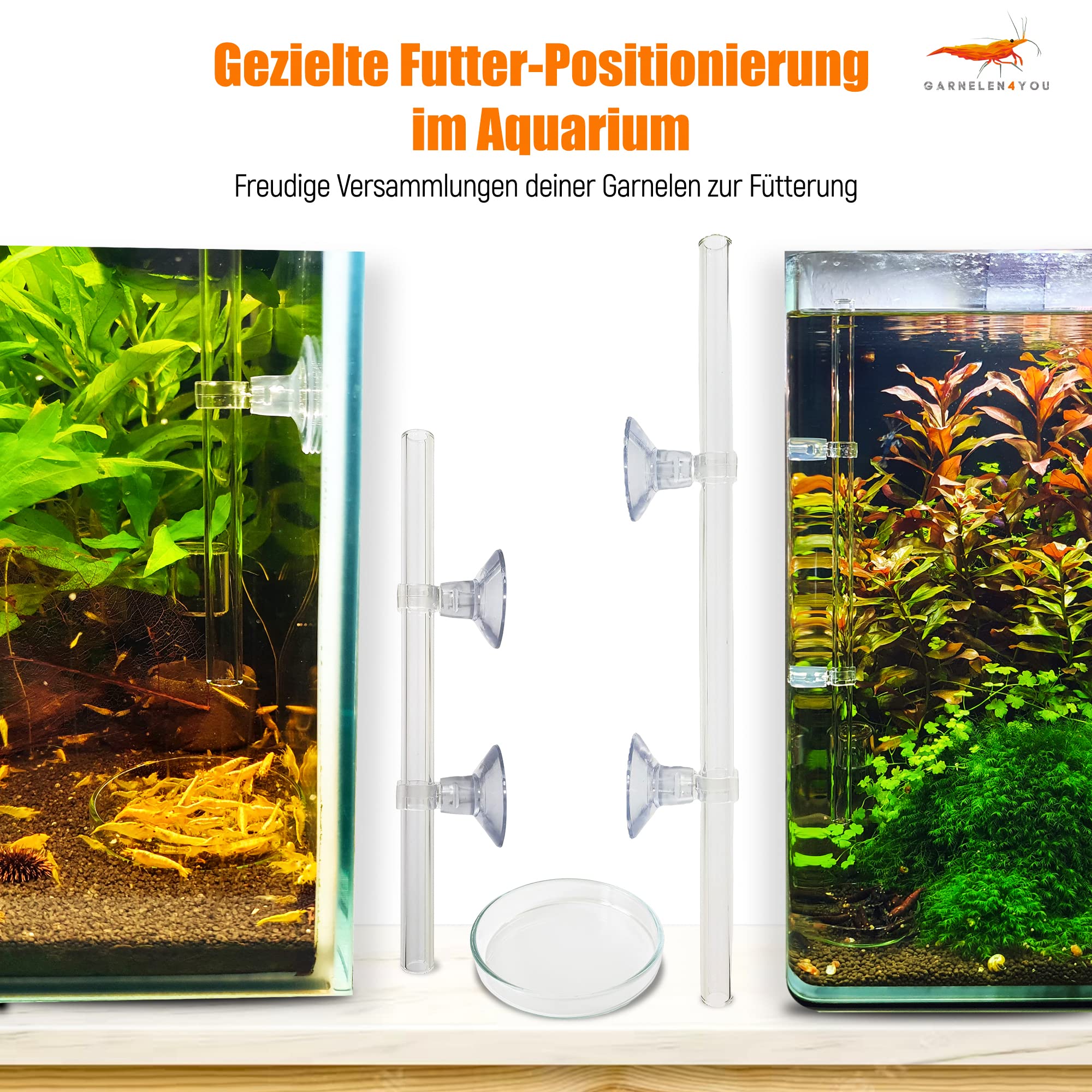 Lot de tubes d'alimentation en verre de laboratoire 28 cm – Fabriqué en Allemagne – Tube d'alimentation d'aquarium avec mangeoire pour crevettes – Verre incassable – Design élégant – Tube