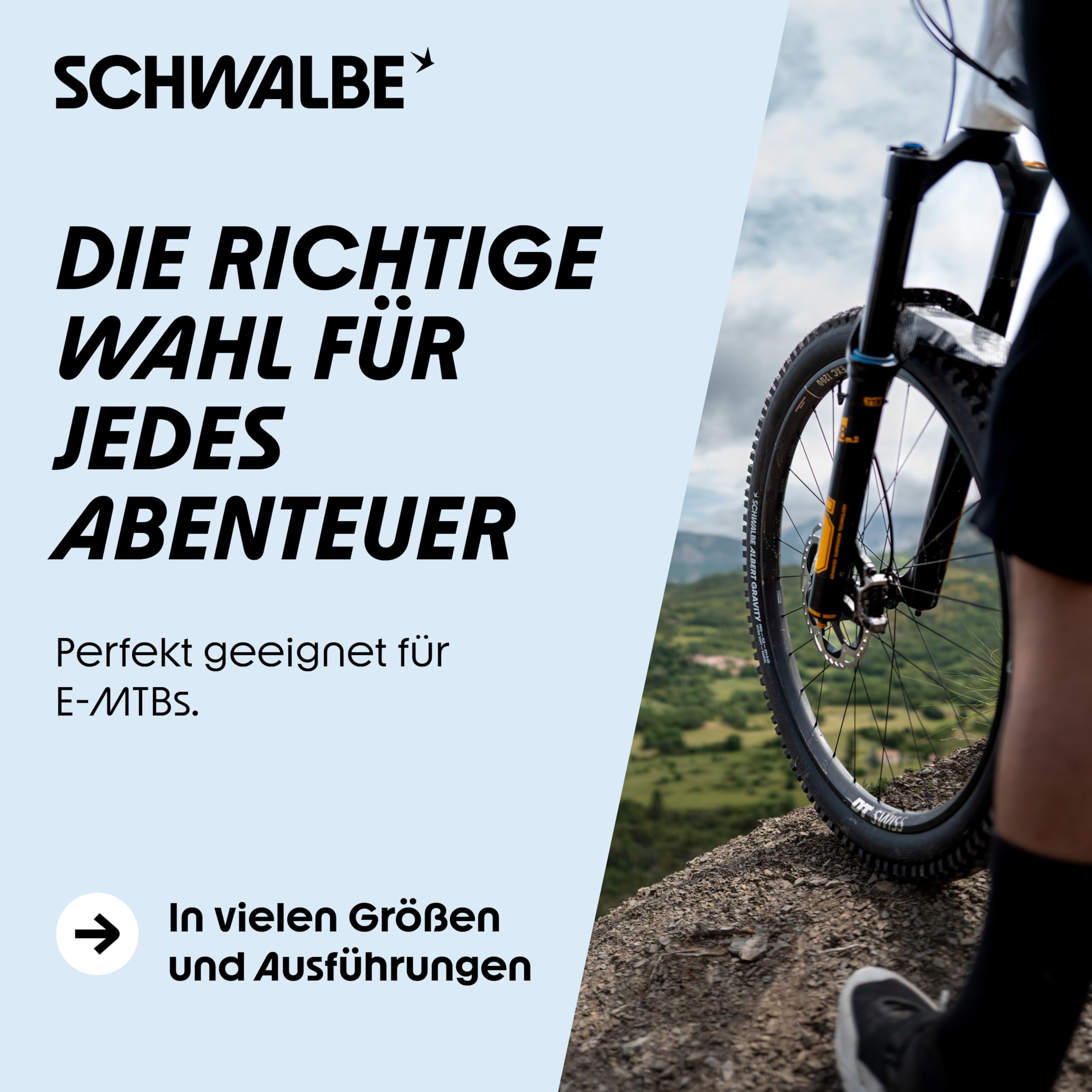Schwalbe Opony rowerowe Albert – opony rowerowe do rowerów górskich E MTB i rowerów górskich z technologią radialną – Gravity Pro/Trail Pro