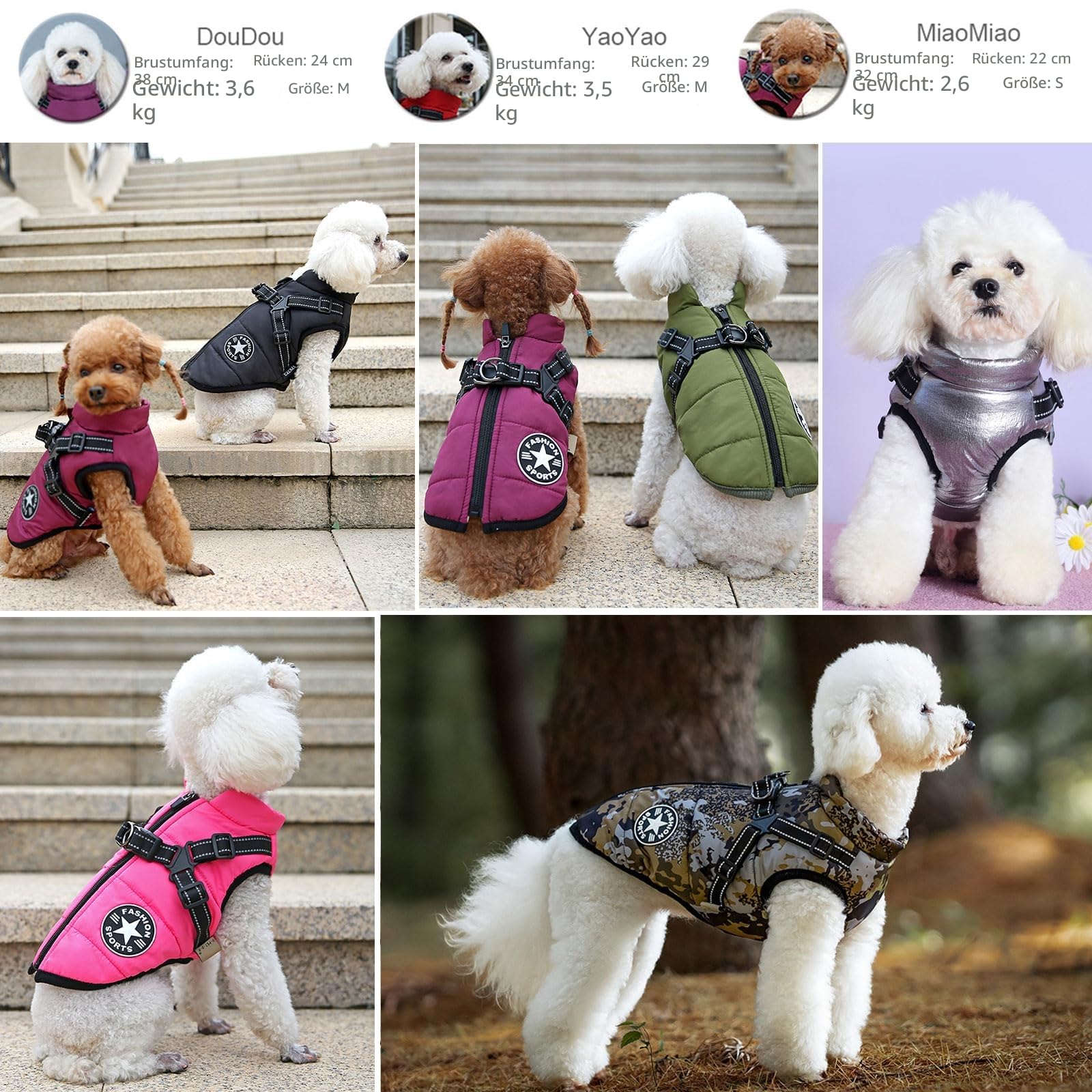 Hundejacke mit Geschirr für kleine Hunde, Hunde-Sportweste für draußen, warmer Haustierwintermantel für Katzen, Welpen, kleine Hunde, Aquamarin