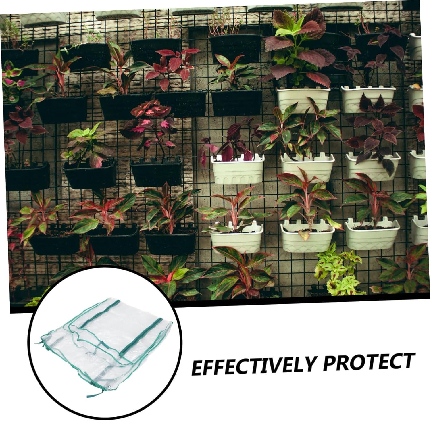 1pc Greenhouse PVC Cover for Plant Protection Four Design Frost Cover for Use for Gardens Flower Shops and Courtyards