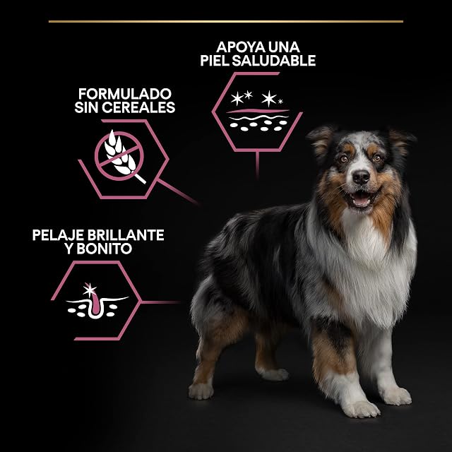 Foto 2 de 7 de Purina Pro Plan - Pienso para perros adultos medianos Purina Pro Plan Sensitive Skin salmón
