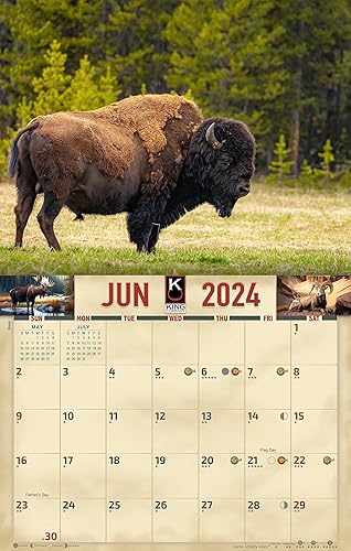 Miniatura 4 de The KING Company-Monster Calendars - Calendario de pared 2024 con vida silvestre de América del Norte, 16 meses, tamaño XL, 14 x 22 pulgadas,