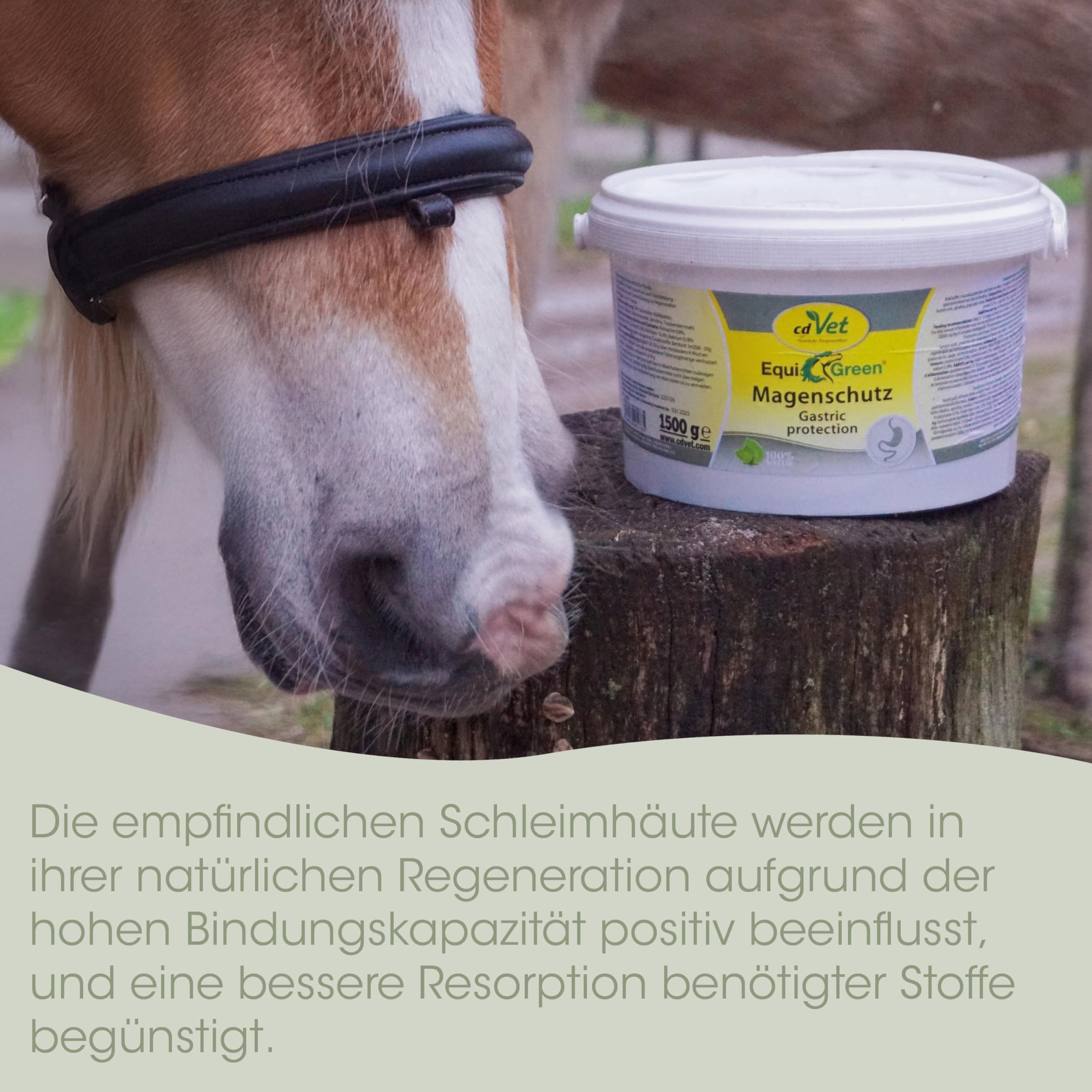 EquiGreen Magenschutz
