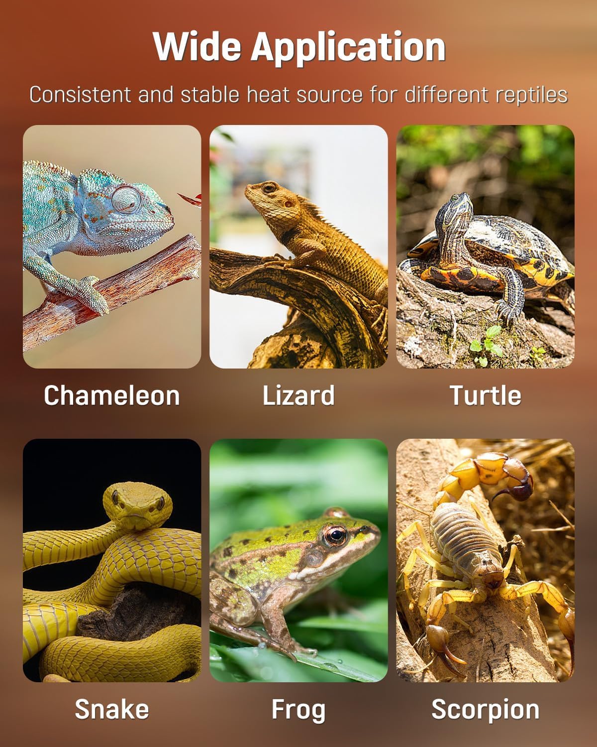 Pawfly Reptile Heat Pad with Thermostat & Timer - Reptile Heating Pad 8 x 5.9 Inch, 7 W Hermit Crabs Heating Pads, Heat Mat for Reptiles Turtles Frogs Snakes Lizards Geckos Plants Seedlings - image 7
