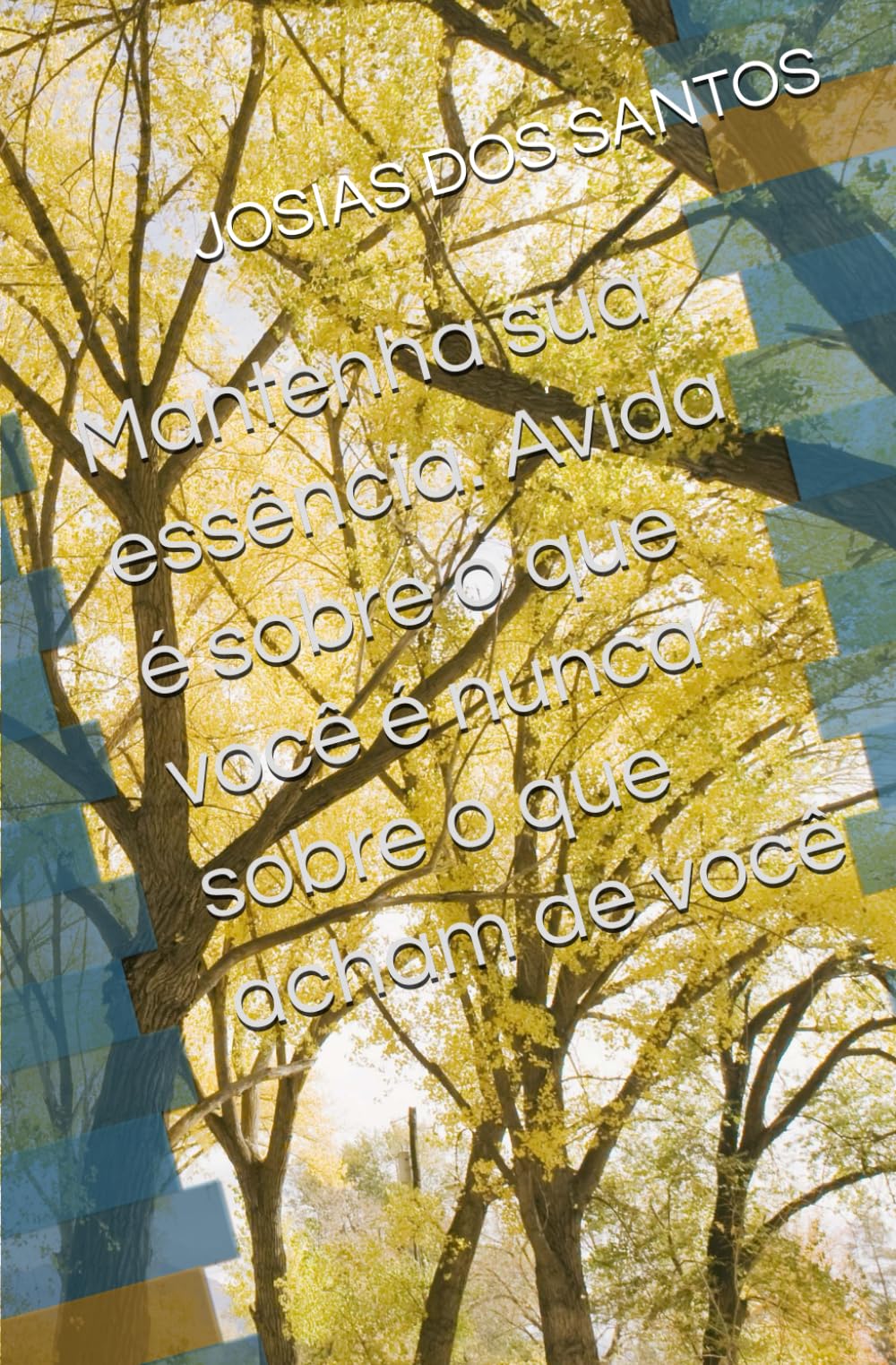 Mantenha sua essência. Avida é sobre o que você é nunca sobre o que acham de você