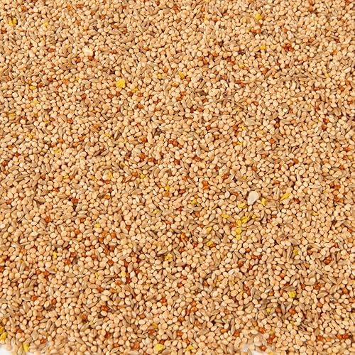 Premium Budgie Food Seed Mix, 2.5L Refill Bag - 2.5L Refill bag