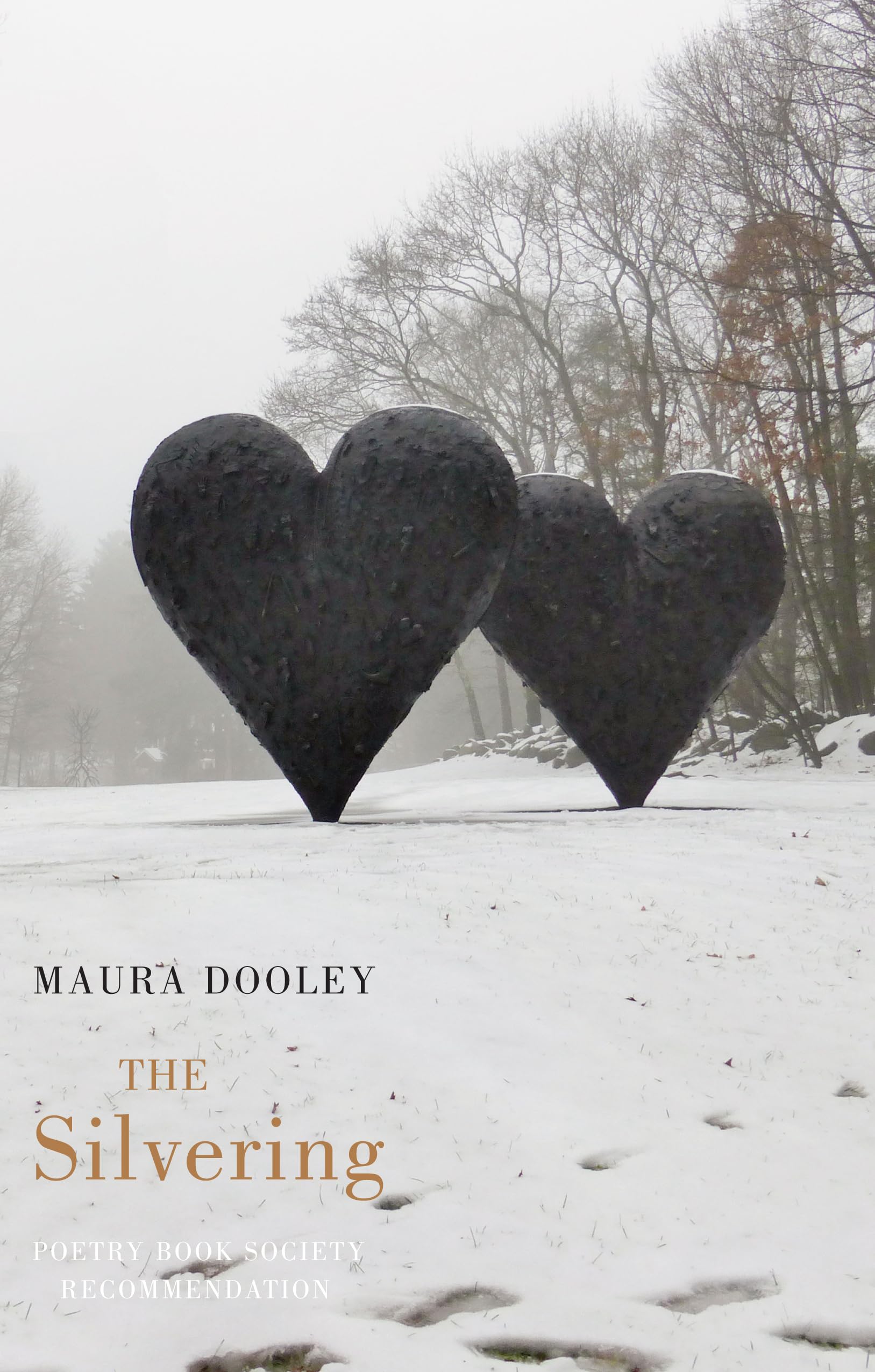 The Silvering By Maura Dooley