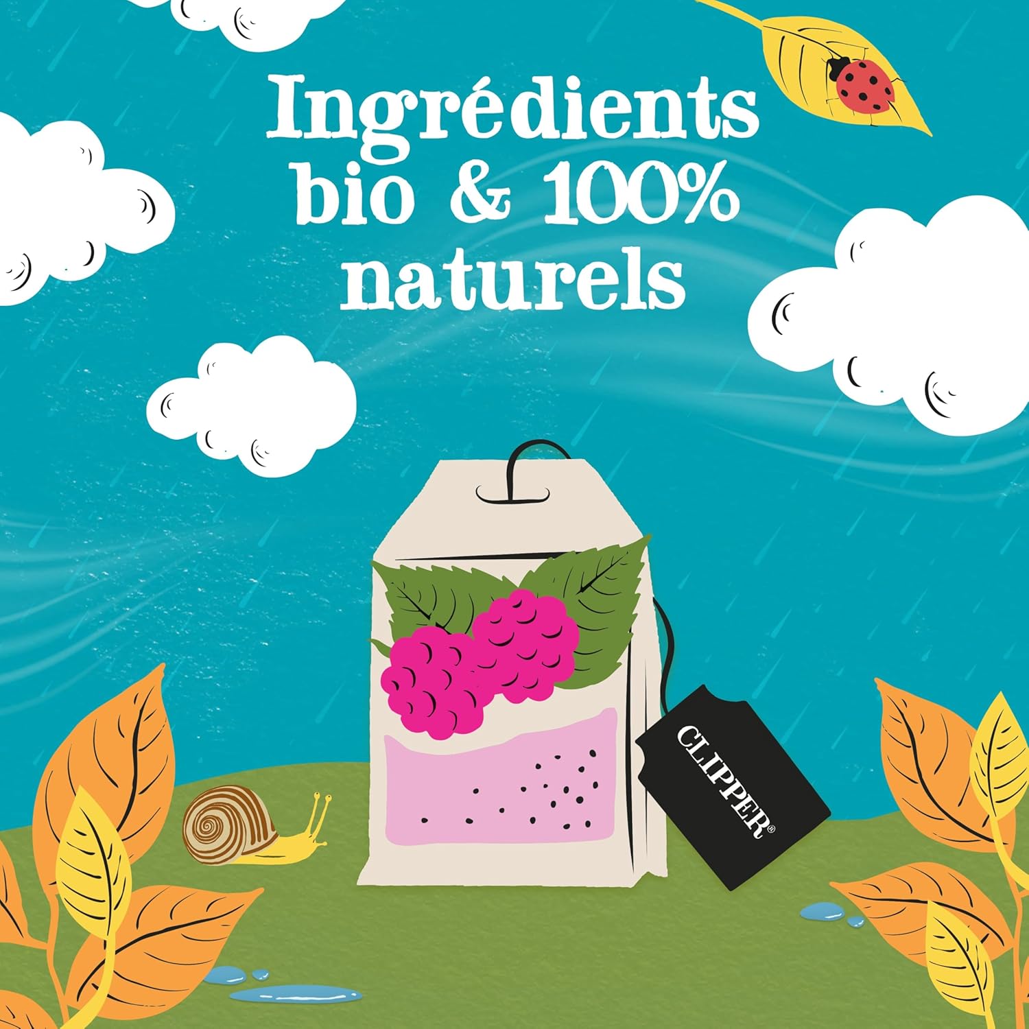 Clipper Thé Vert Bio Splendid Framboise Menthe: 20 Sachets Bio pour une Délicieuse Pause - Image détaillée