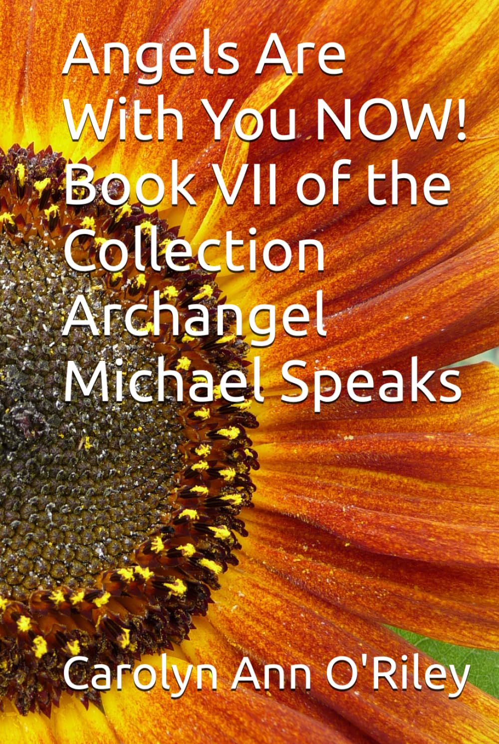 Angels Are With You NOW! Book VII of the Collection Archangel Michael Speaks