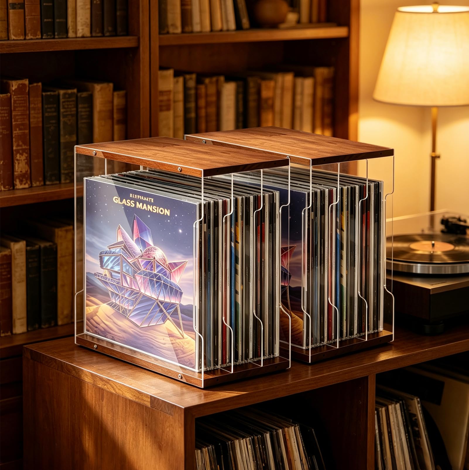 2 Packungen Schallplatten Aufbewahrung, für Musikzimmer & Wohnzimmer