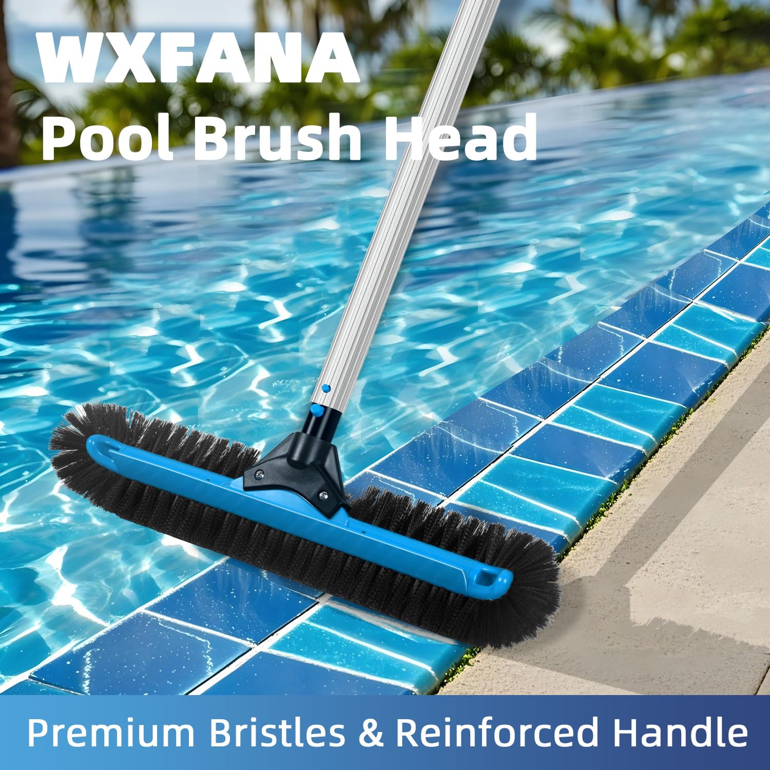 Cabezal de cepillo de piscina de 20 pulgadas de ancho, cepillo de limpieza de piscina resistente con cerdas de 12 filas, cepillos de piscina enterrados/superiores con extremos curvos, azul