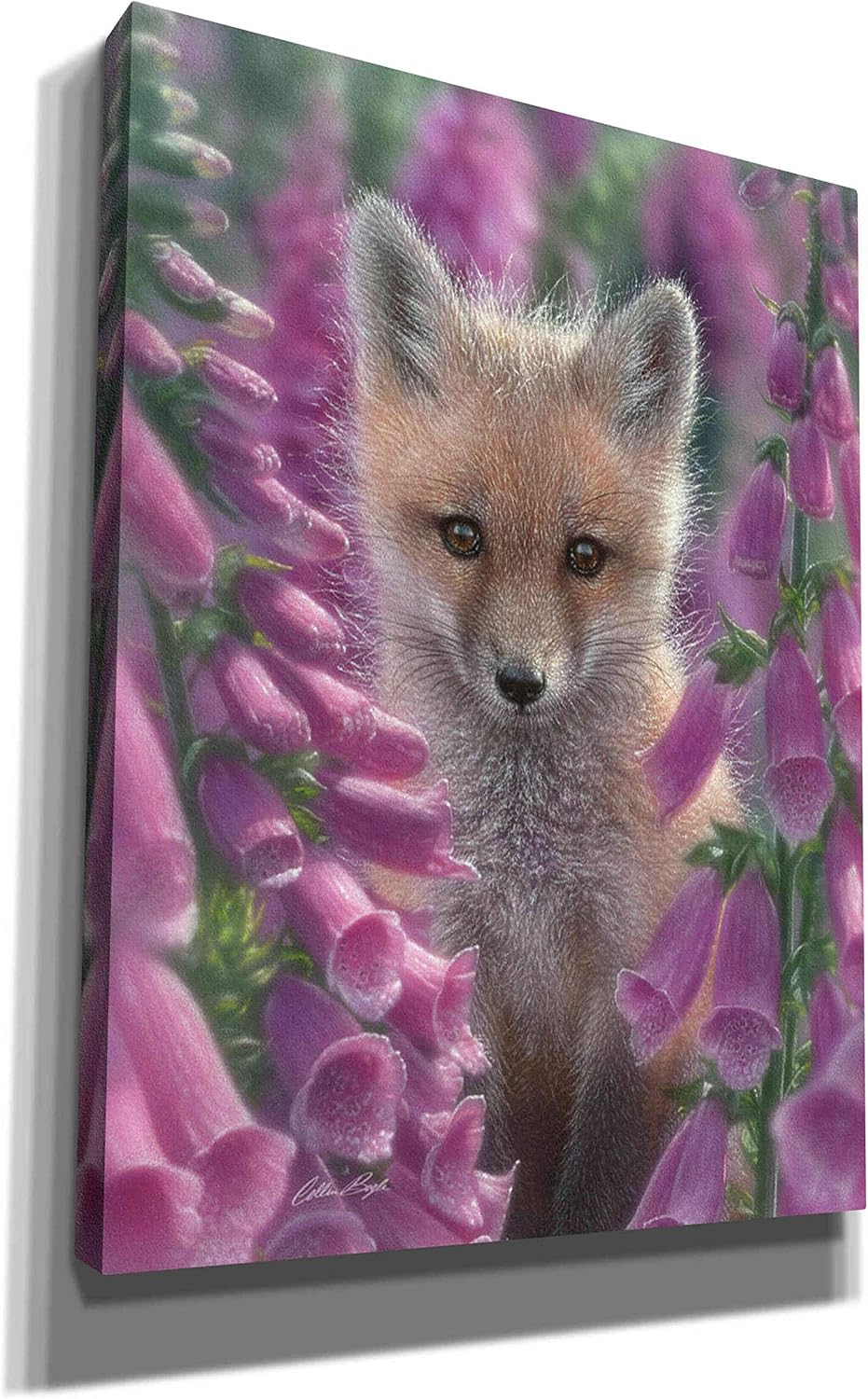 Epic Graffiti 'Fox Gloves' by Collin Bogle, Canvas Wall Art, 12"x16"