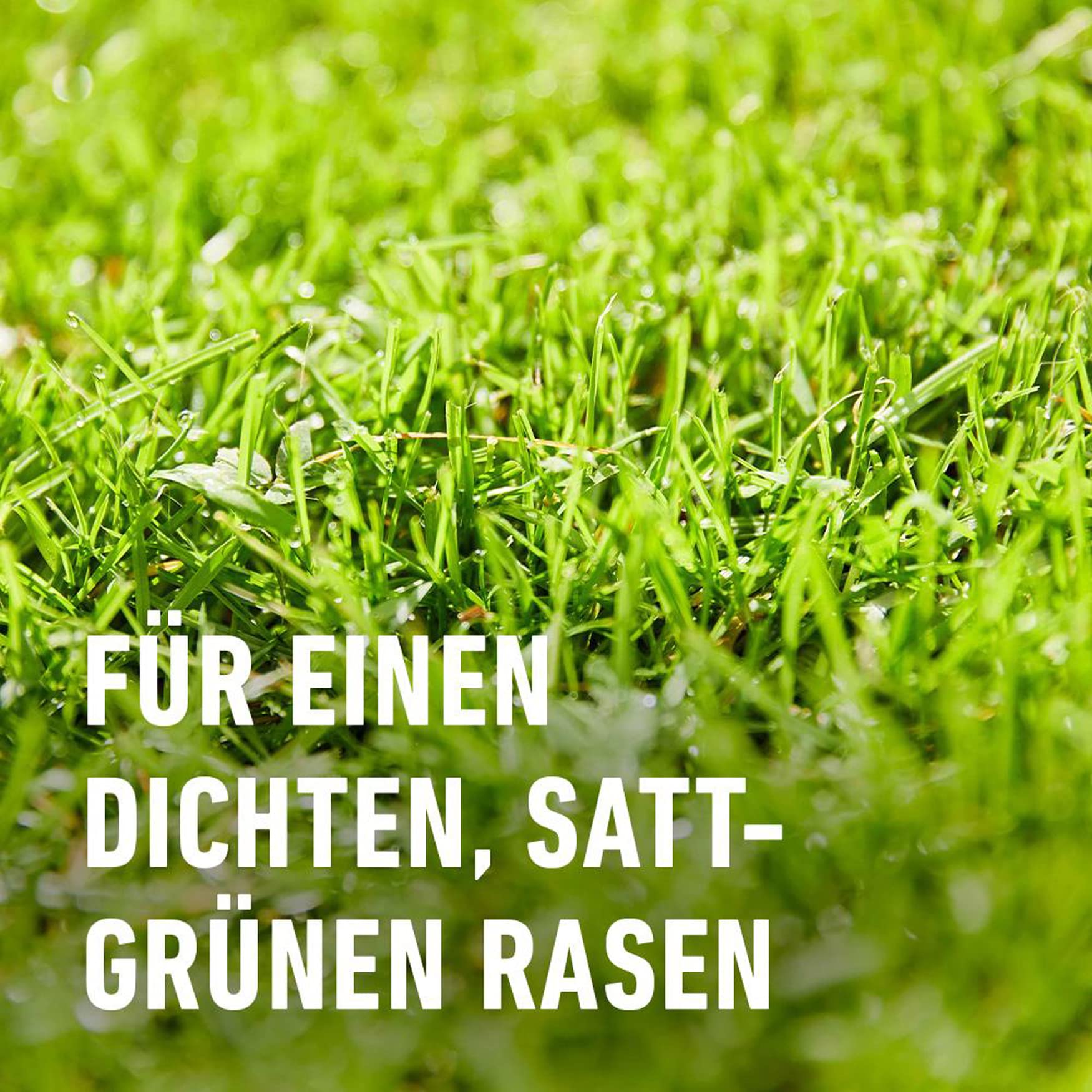 COMPO Rasendünger, Dünger mit 2-3 Monaten Langzeitwirkung, Feingranulat, 13 kg, 400 m²