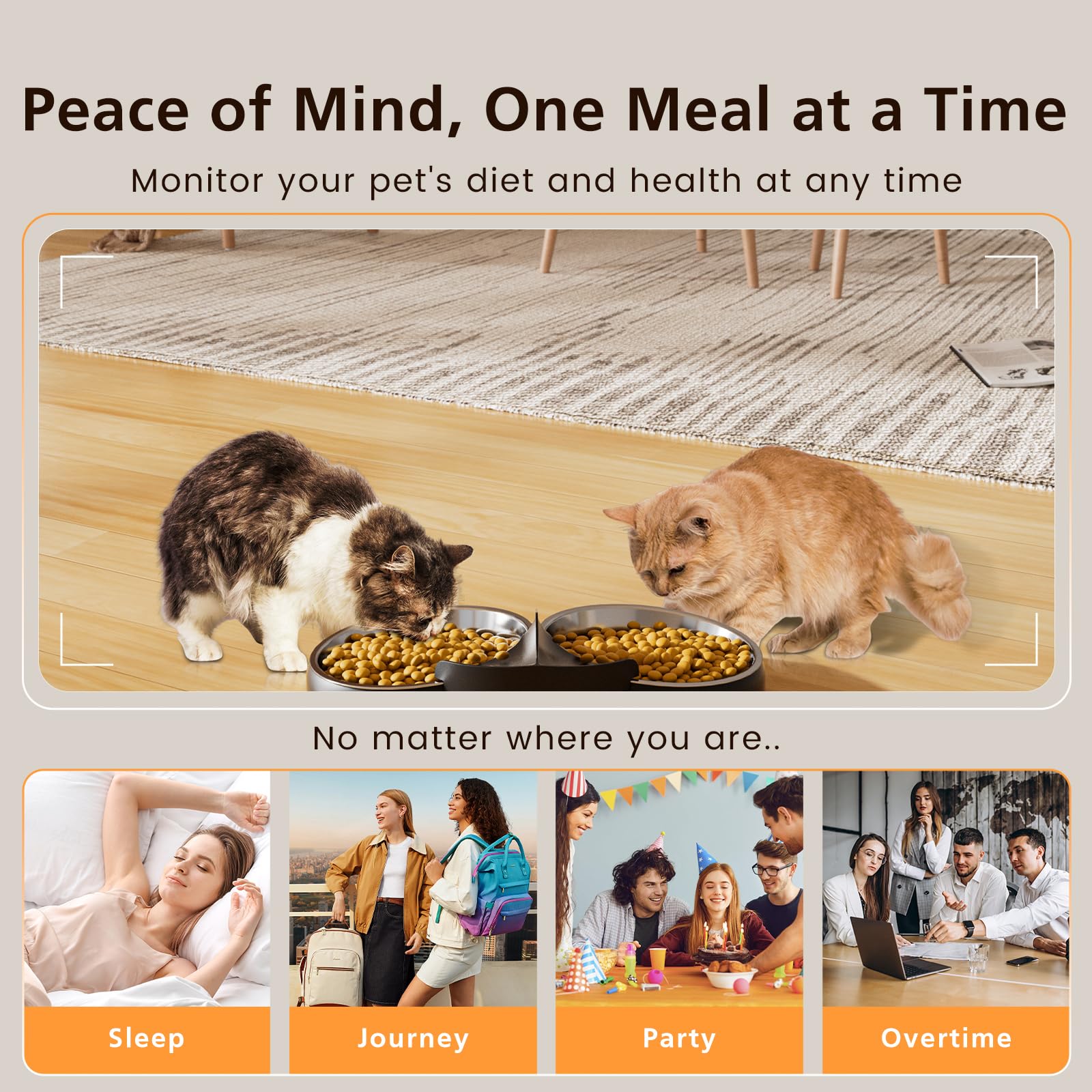 Automatic Cat Feeder with Camera for 2 Cats, 6L WiFi Smart Pet Feeder with APP Control, 1080P HD Video, Voice Call, Motion Detection, Dual Power Supply, for Dogs Cats, Small-Pet, Black - image 7