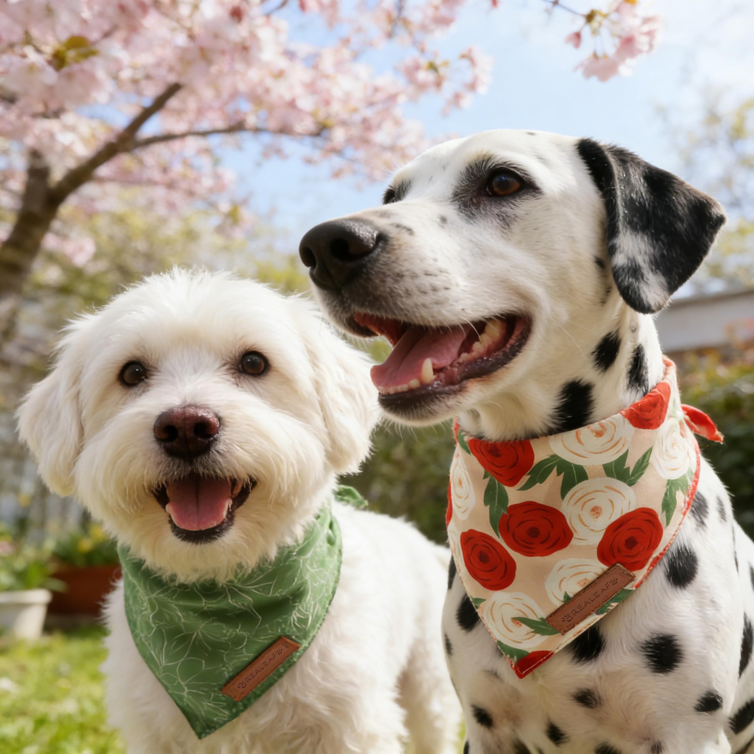 Realeaf Spring Hundehalstücher mit Blumenmuster, für Jungen und Mädchen, hochwertiger, strapazierfähiger Stoff, saisonales Bandana für Hunde, Größe XL, 2 Stück
