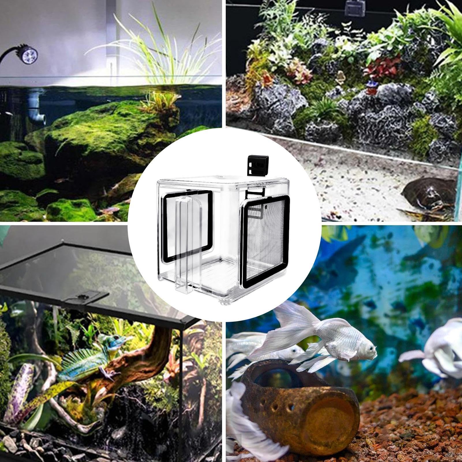 Aquarium D'élevage De Poissons En Acrylique Aquarium D'élevage De