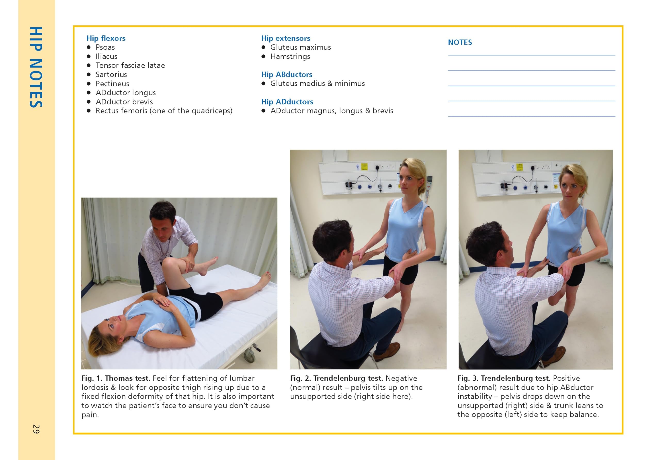 Essential Examination, fourth edition: Step-by-step guides to clinical examination scenarios with practical tips and key facts for OSCEs