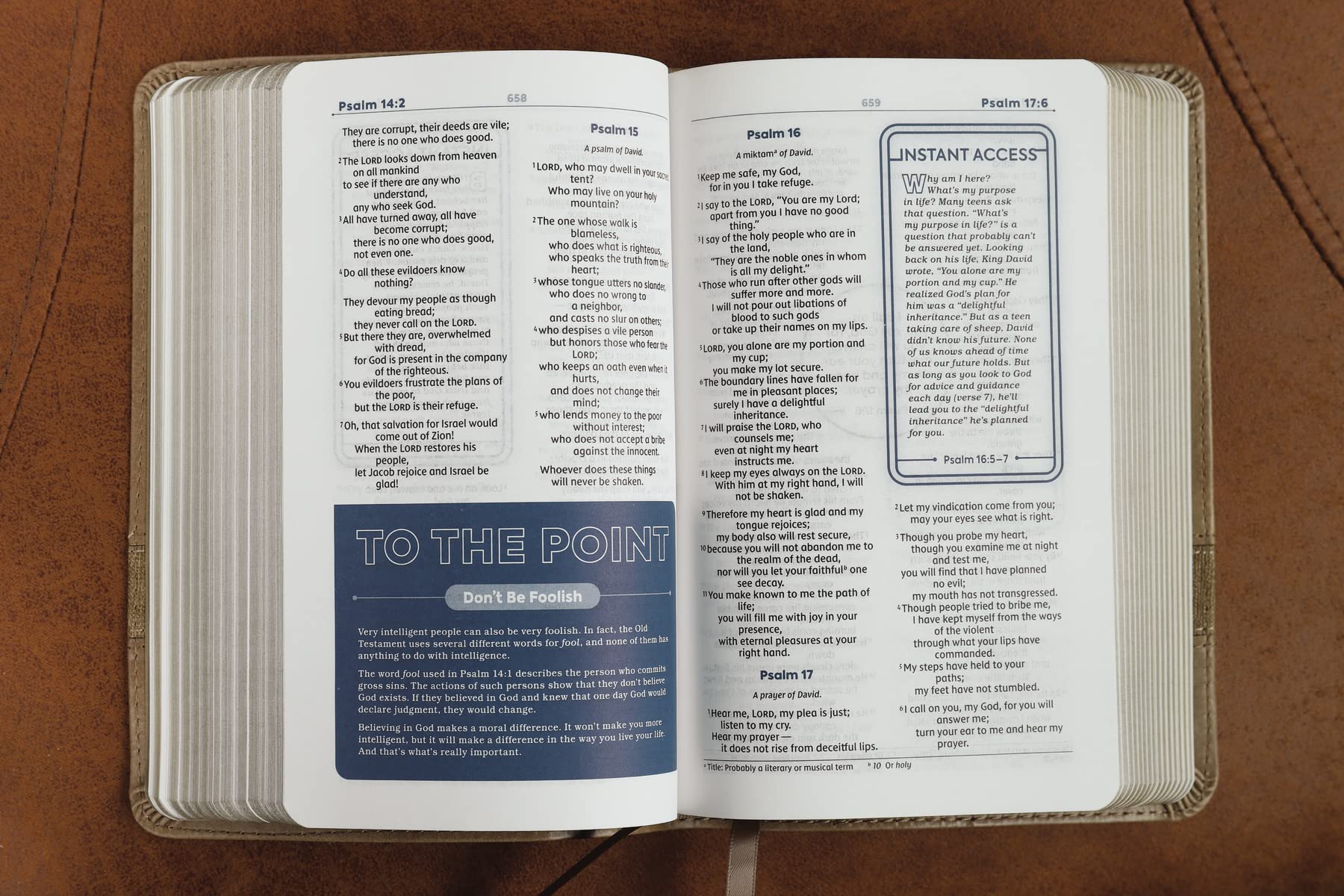 NIV Teen Study Bible: New International Version, Brown, Leathersoft, Comfort Print