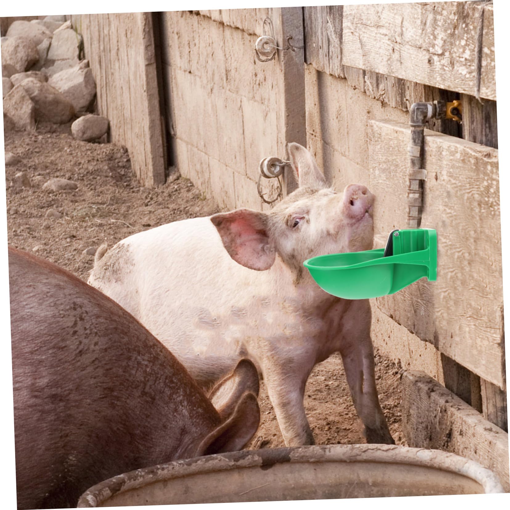 Abbeveratoio Automatico Risparmio di Lavoro Efficiente per Bovini in Plastica e Ferro Nero , Resistente alla Morsa Ciotola Grande per Bestiame