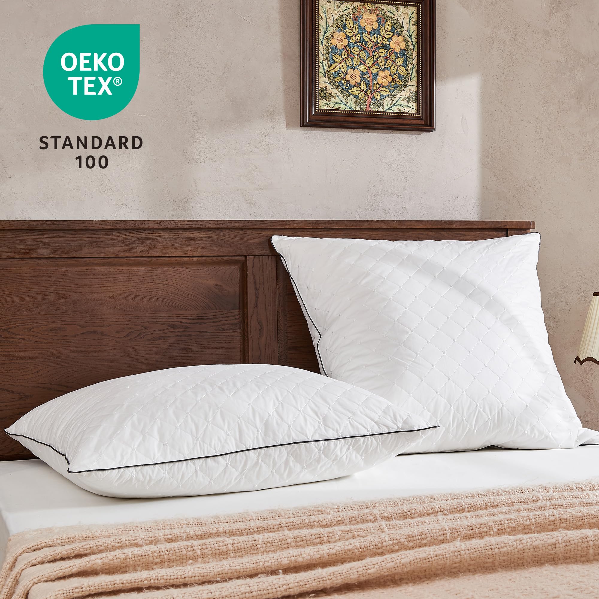 Deodar Lot de 2 Oreillers en Plumes et Duvet d'oie 60 x 60 cm | Housse 100 % coton, lavables en machine, certifiés Öko-Tex et RDS, pour un confort doux et un sommeil agréable