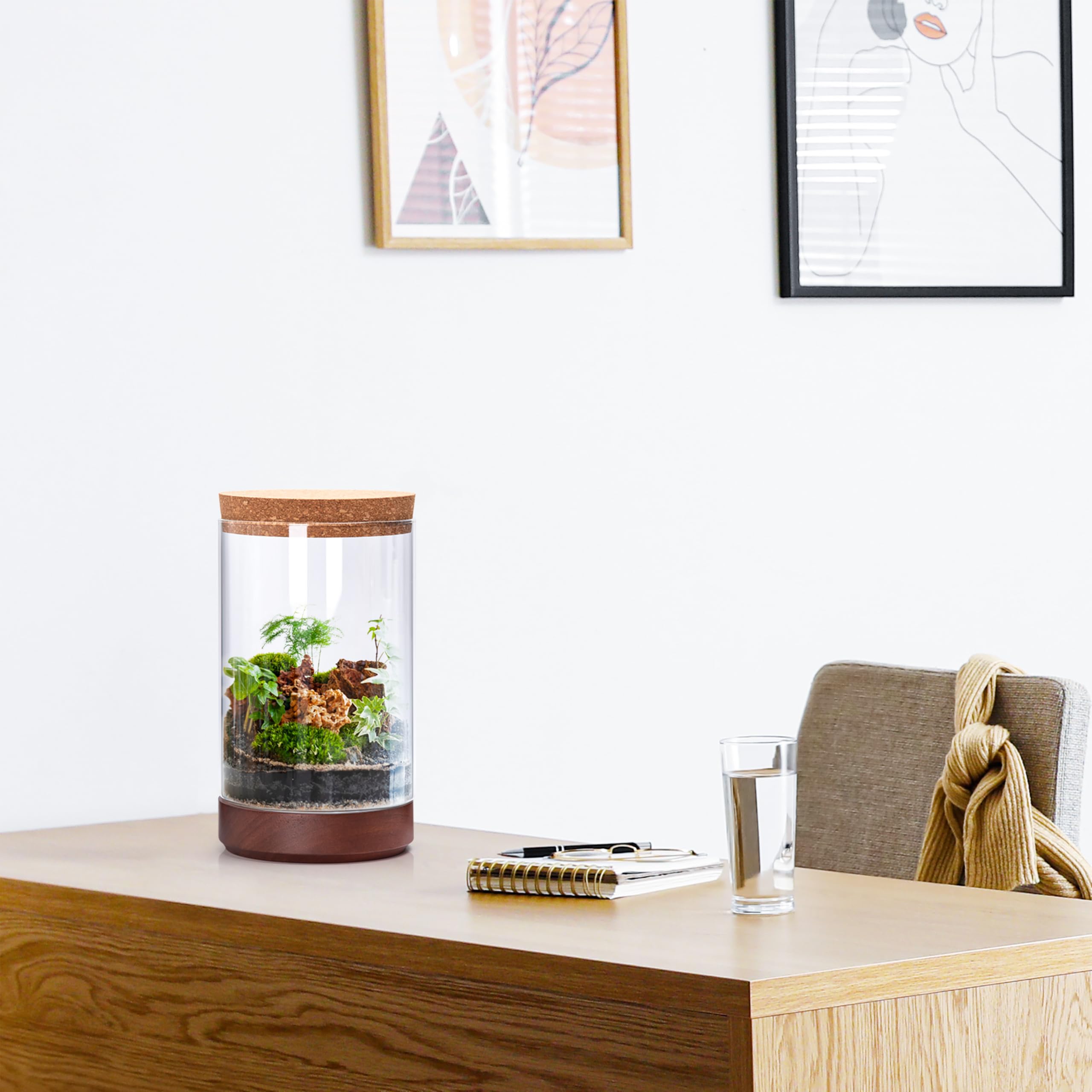 Maceta de terrario de cristal transparente para plantas de interior, 6 pulgadas de ancho x 10 pulgadas de alto, terrario cilíndrico con base de madera y tapa de corcho, decoración de mesa versátil