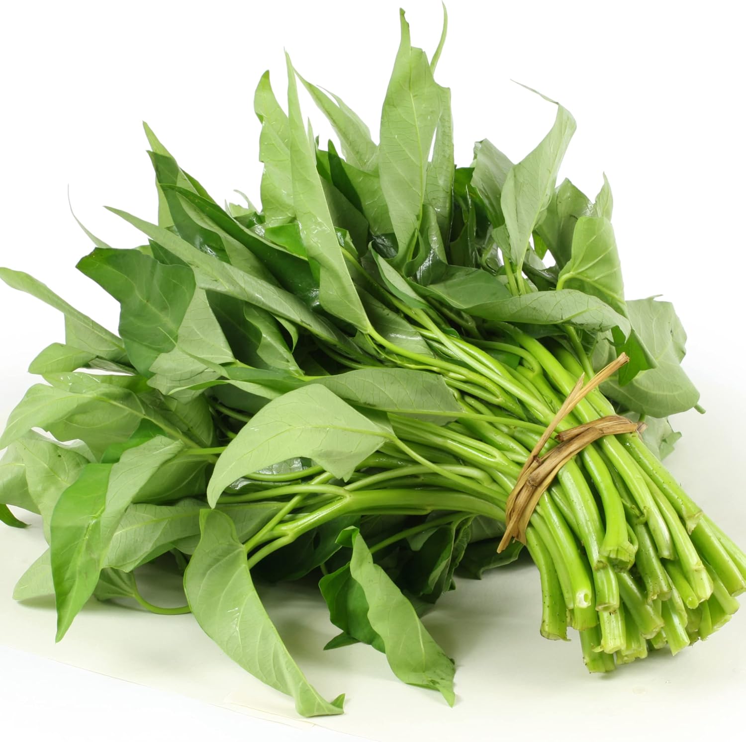 Egyptian Spinach,1000 Jute Seeds,Saluyot, Molokhia, Plant Spring Or Summer