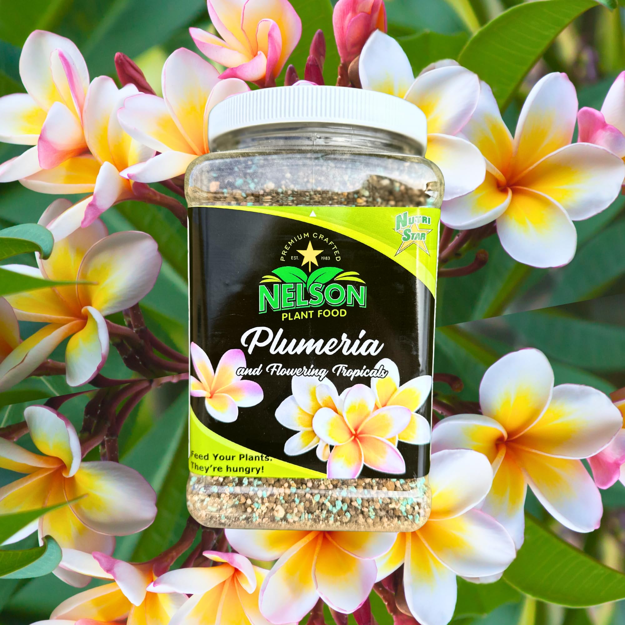 Nelson Plumeria Pflanze und alle blühenden Tropicals Futterfarne, Orchideen, Lilien im Bodenbehälter, Terrassen angebaut, Granulat-Dünger, NutriStar 5-30-5 (0,9 kg)