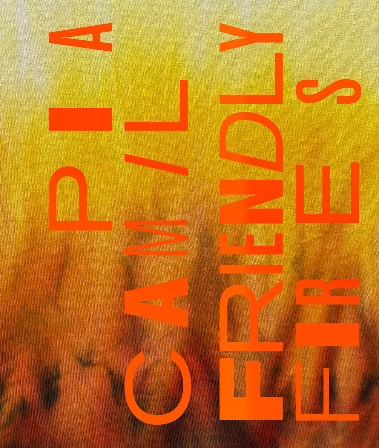 Pia Camil: Friendly Fires catalogue expo art contemporain mexicain textile