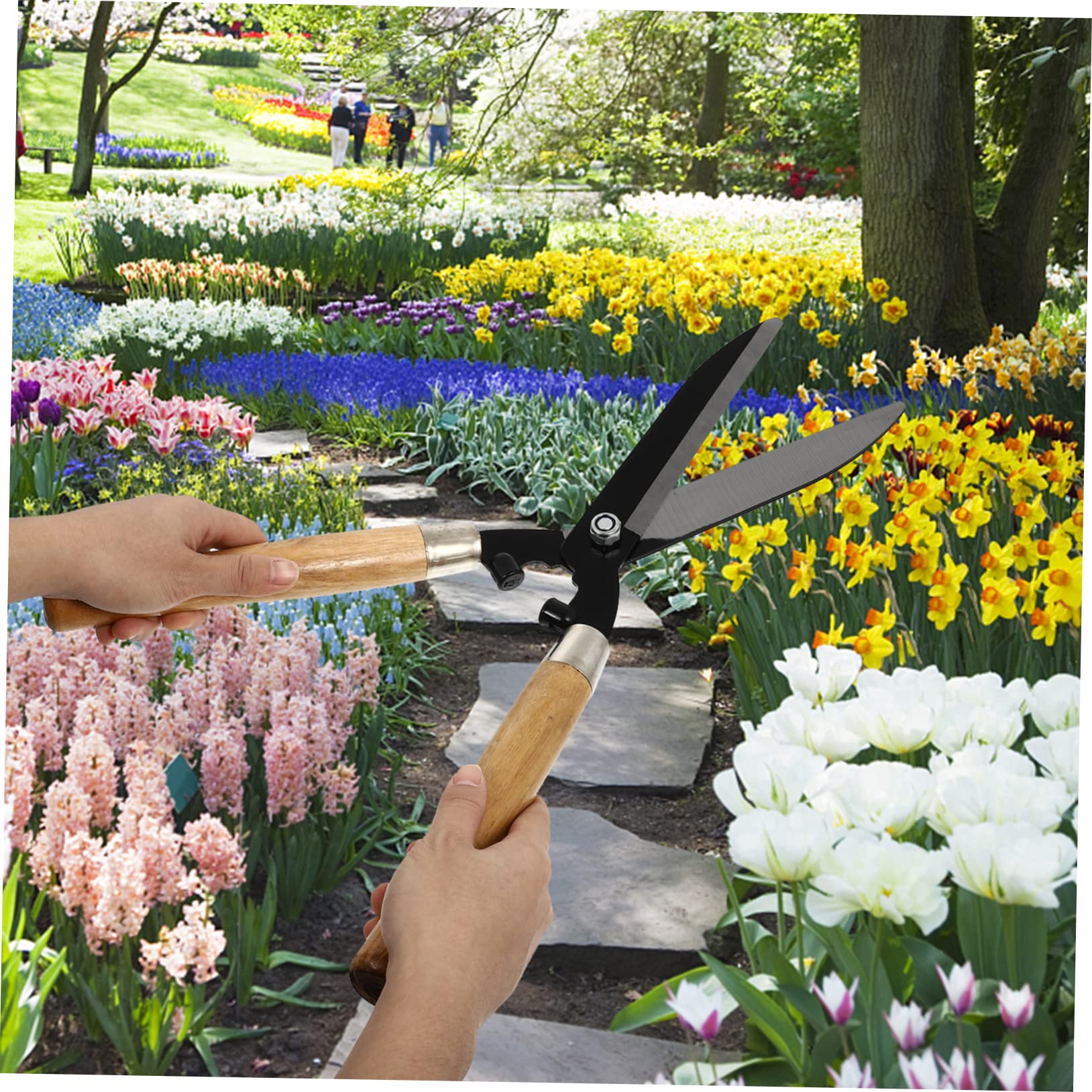 1pezzi Forbici Da Giardino Per Potatura Impugnatura in Legno Lame in Acciaio Temprato Affilate Utensili Per Innesto Per Alberi e Prato Forbici Da Siepe Ergonomiche Per Giardinaggio