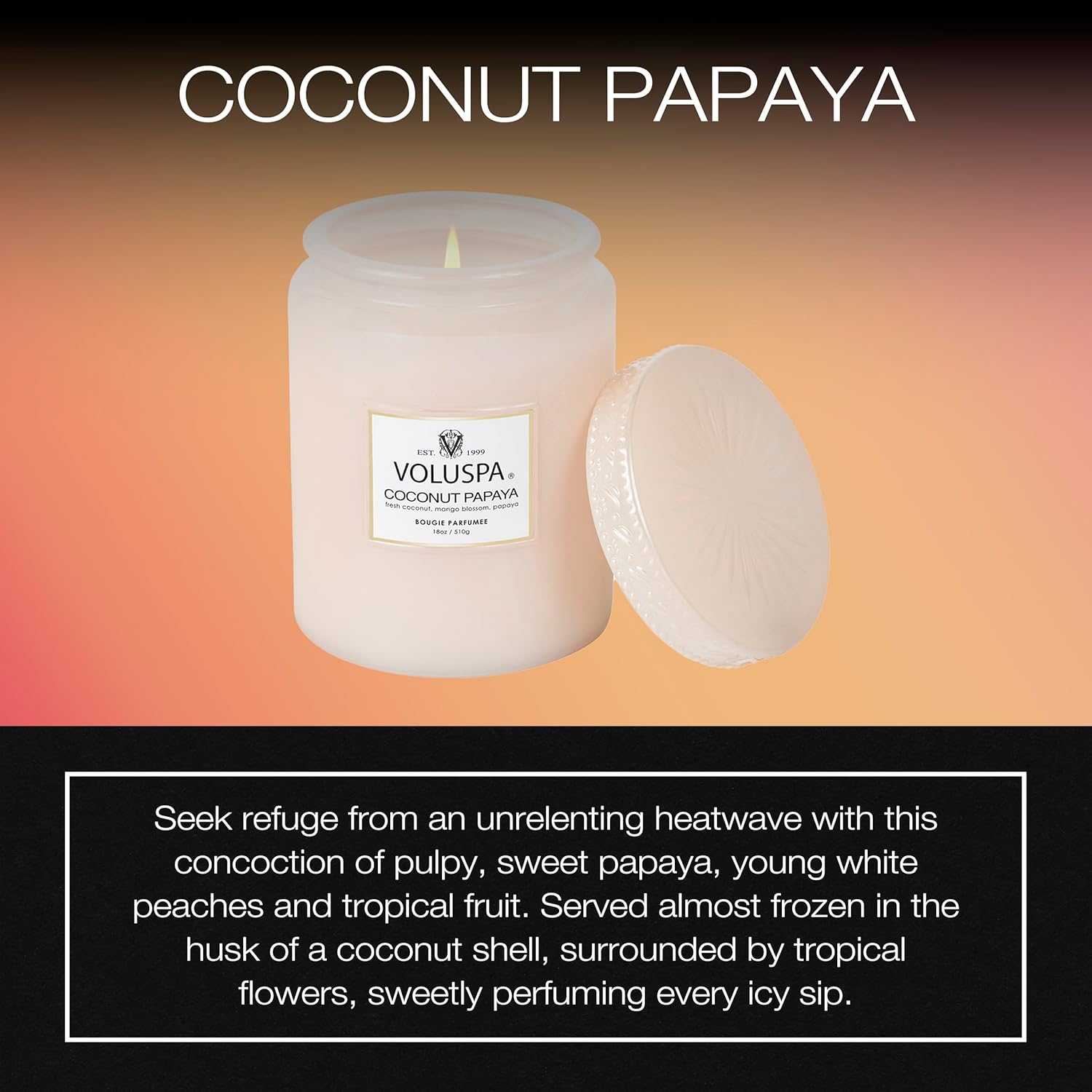 Voluspa Coconut Papaya, Large Candle Jar, 18 oz, 100 Hour Burn Time, Coconut Wax for Clean Burning, Handcrafted in The USA - Image 2
