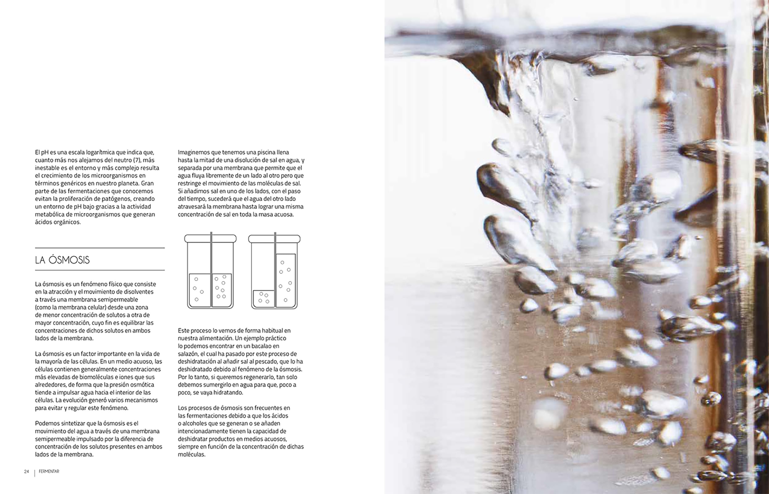 Fermentar. Fundamentos y técnicas de un arte milenario (COCINAS DEL MUNDO)