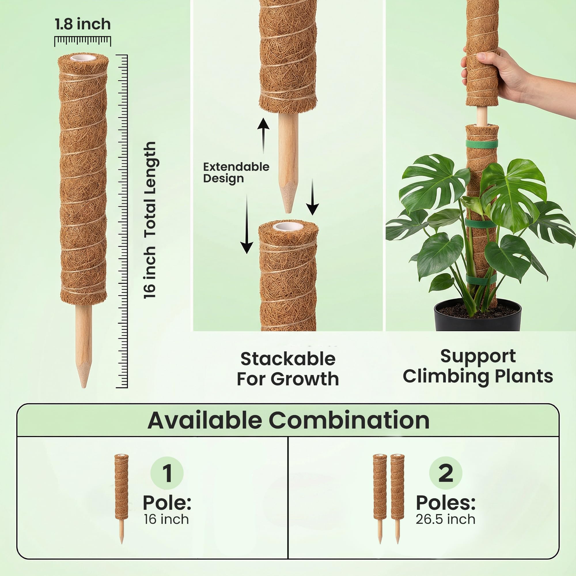 Paquete de 4 soportes para plantas Monstera de 16 pulgadas, apilables hasta 48 pulgadas, estacas para plantas trepadoras de interior en maceta, palos de coco altos y accesorios para Monstera, Pothos y