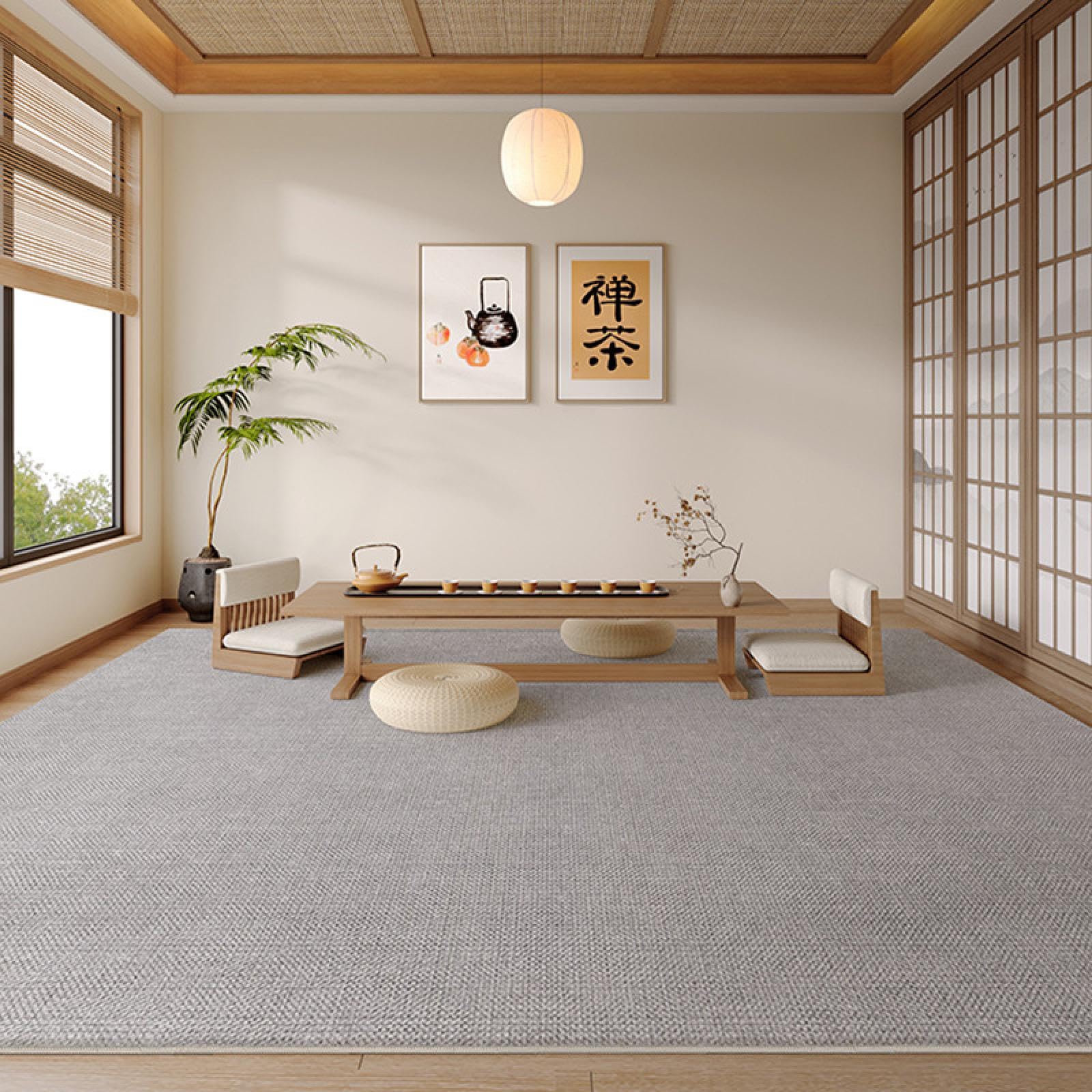Tapis antitache de couleur unie 100x150cm idéal pour chambre et salon