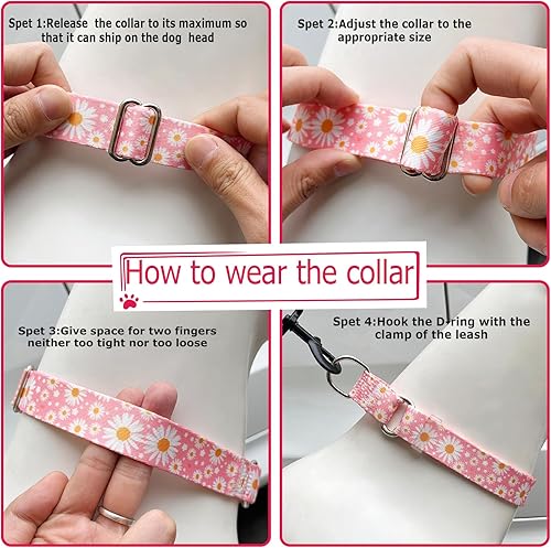 Miniatura 6 de Collar Martingale para perros medianos y grandes, collares para perras hembras con nailon suave ajustable y diseño floral especial de margarita