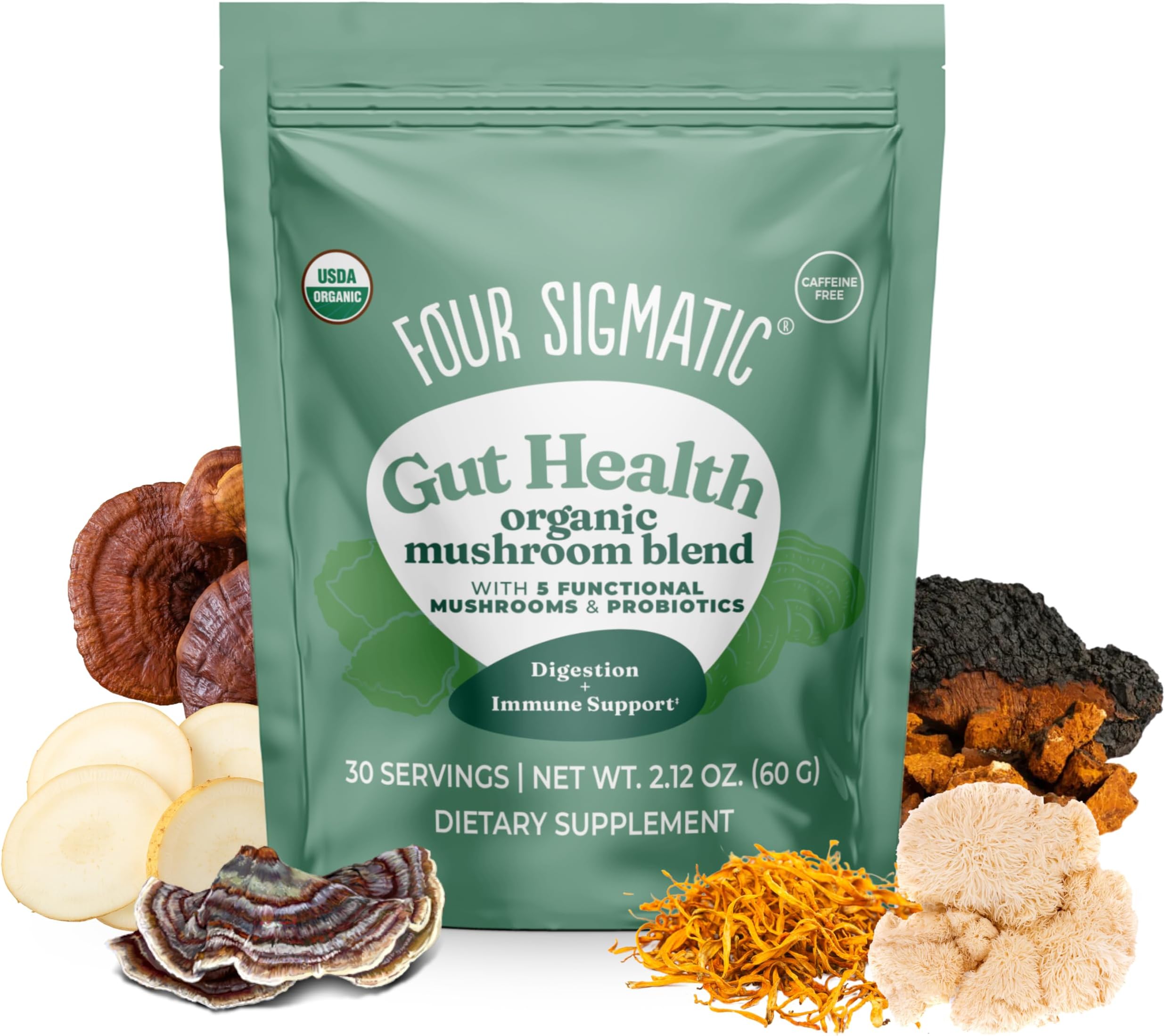 Gut Health Mushroom Blend | Organic Mushroom Powder Complex with Turkey Tail, Lion’s Mane, Cordyceps, Chaga, Probiotics and More | Natural Immune Support Supplement | 30 Servings