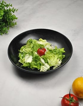 1 Piece Porcelain Salad Plate 25 Cm Pit Serving Plate Presentation Bowl-Black