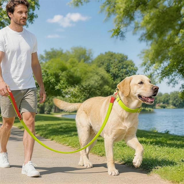 Foto 6 de 6 de Set de Collar y Correa 152cm para Perros L (38-58cm) Nailon (Limón)