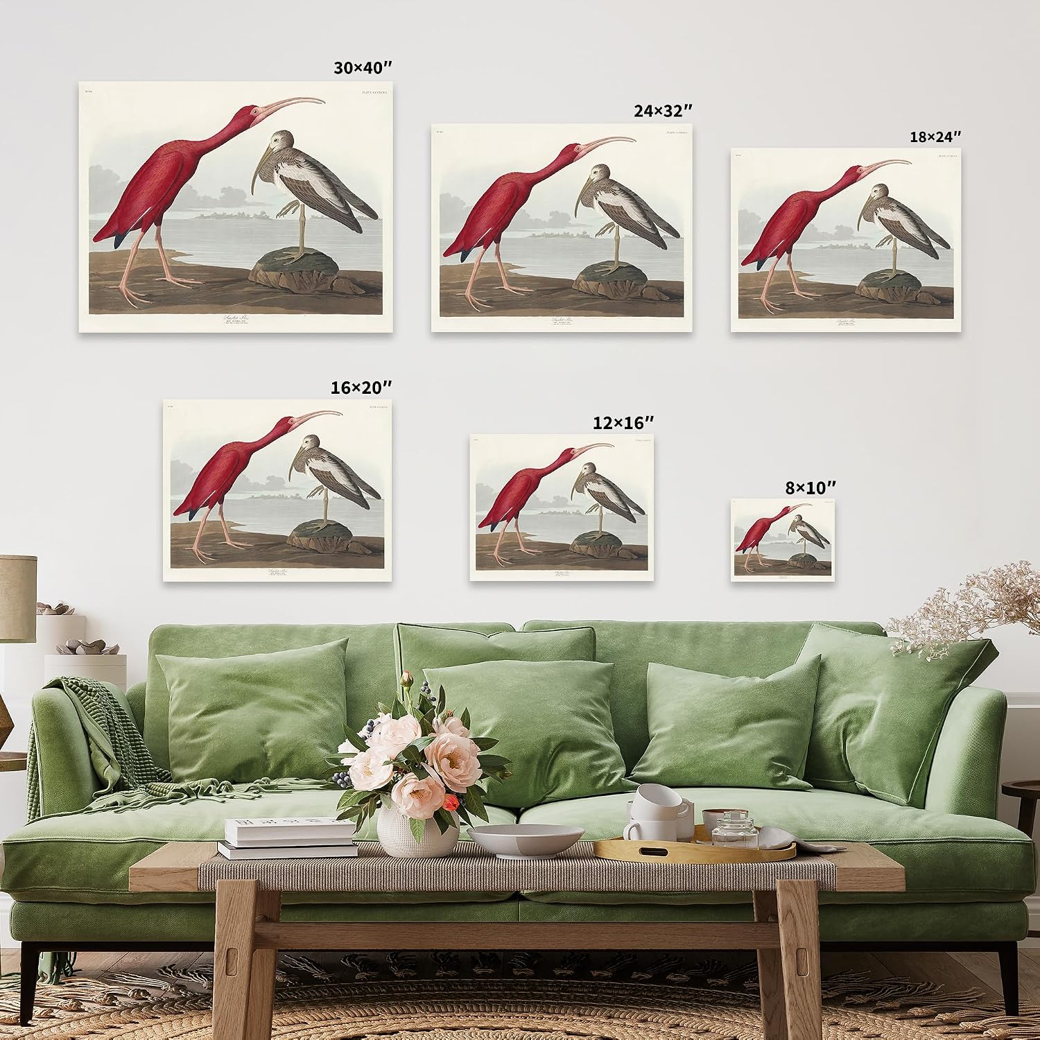 Poster Master Vintage James Audubon Canvas - Retro Scarlet Ibis Print - Birds of America Art - Gift for Him, Her & Animal Lover - Decor for Dorm, Living Room or Bedroom - 8x10 STRETCHED Canvas