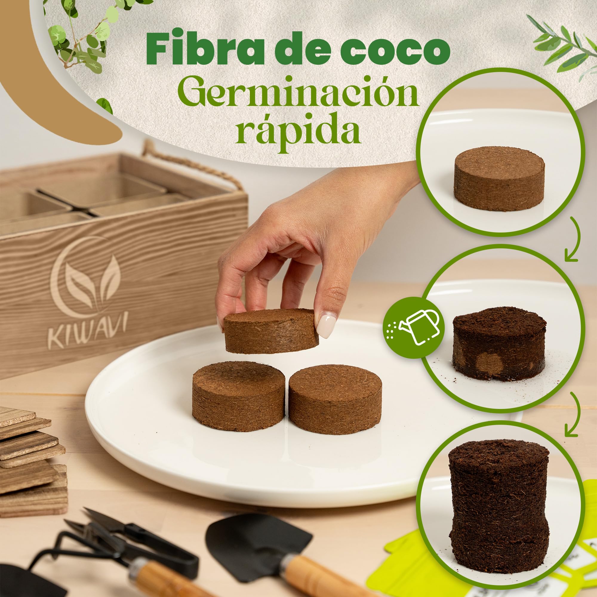 Mini Huerto Urbano para Interior - Kit de Cultivo de Plantas Aromáticas (Albahaca, Perejil, Cilantro, Hierbabuena, Eneldo, Tomillo) | Huerto en Casa con Semillas