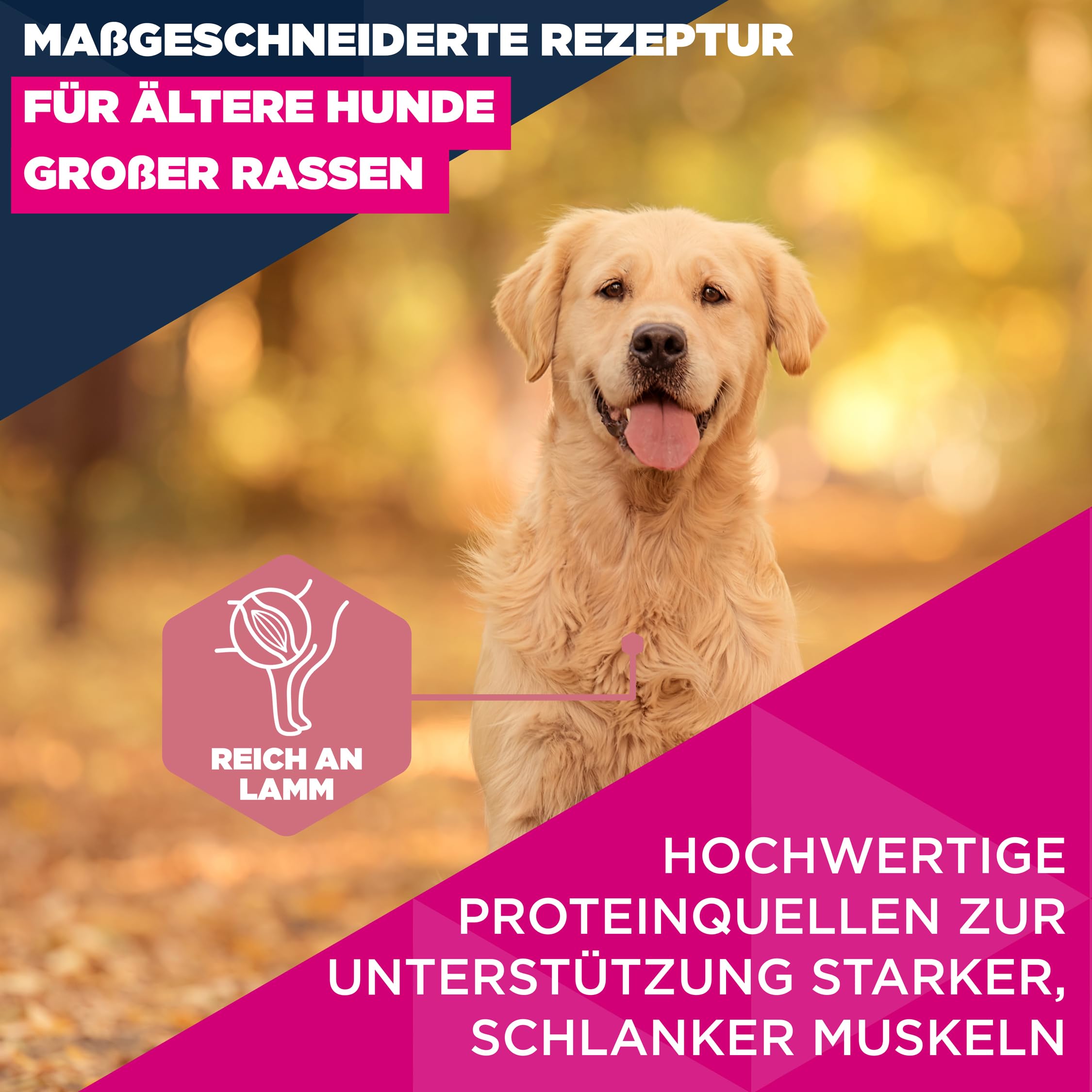 Eukanuba Senior Hundefutter mit Lamm und Reis für große Rassen - Premium Trockenfutter für ältere Hunde, 12 kg