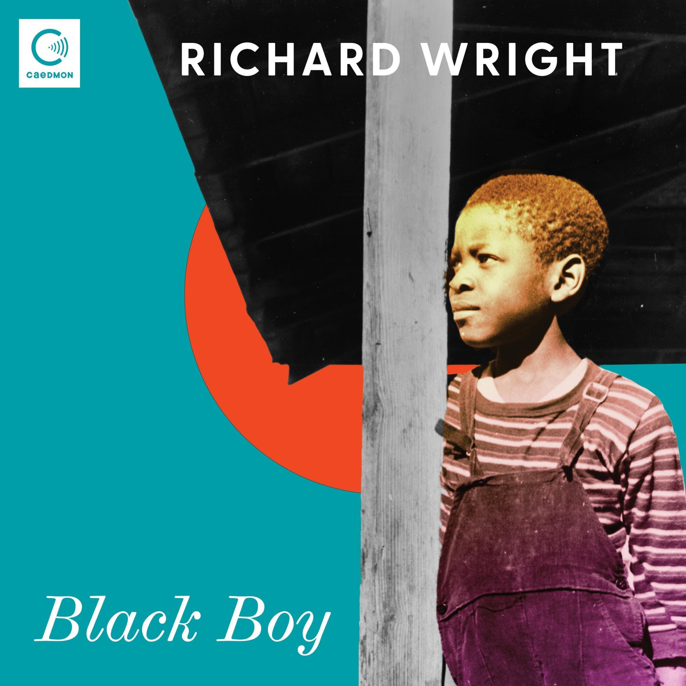 Cover art for Black Boy