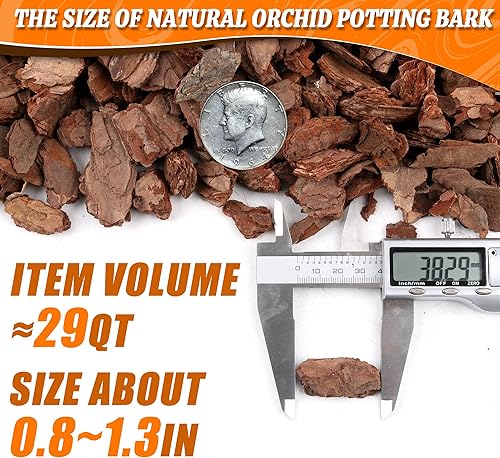 Vista 33 de AVALUTION Corteza para macetas de orquídeas: corteza de orquídea orgánica de 9 cuartos para plantas, todos los chips de madera de corteza de pino